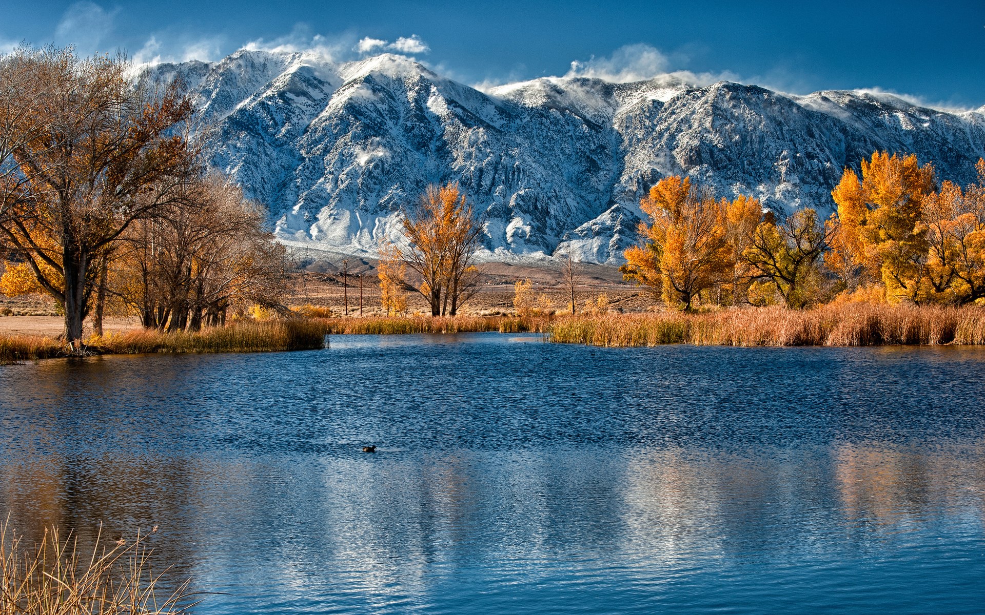 Lake and Snow-Capped Mountains in Autumn HD Wallpaper