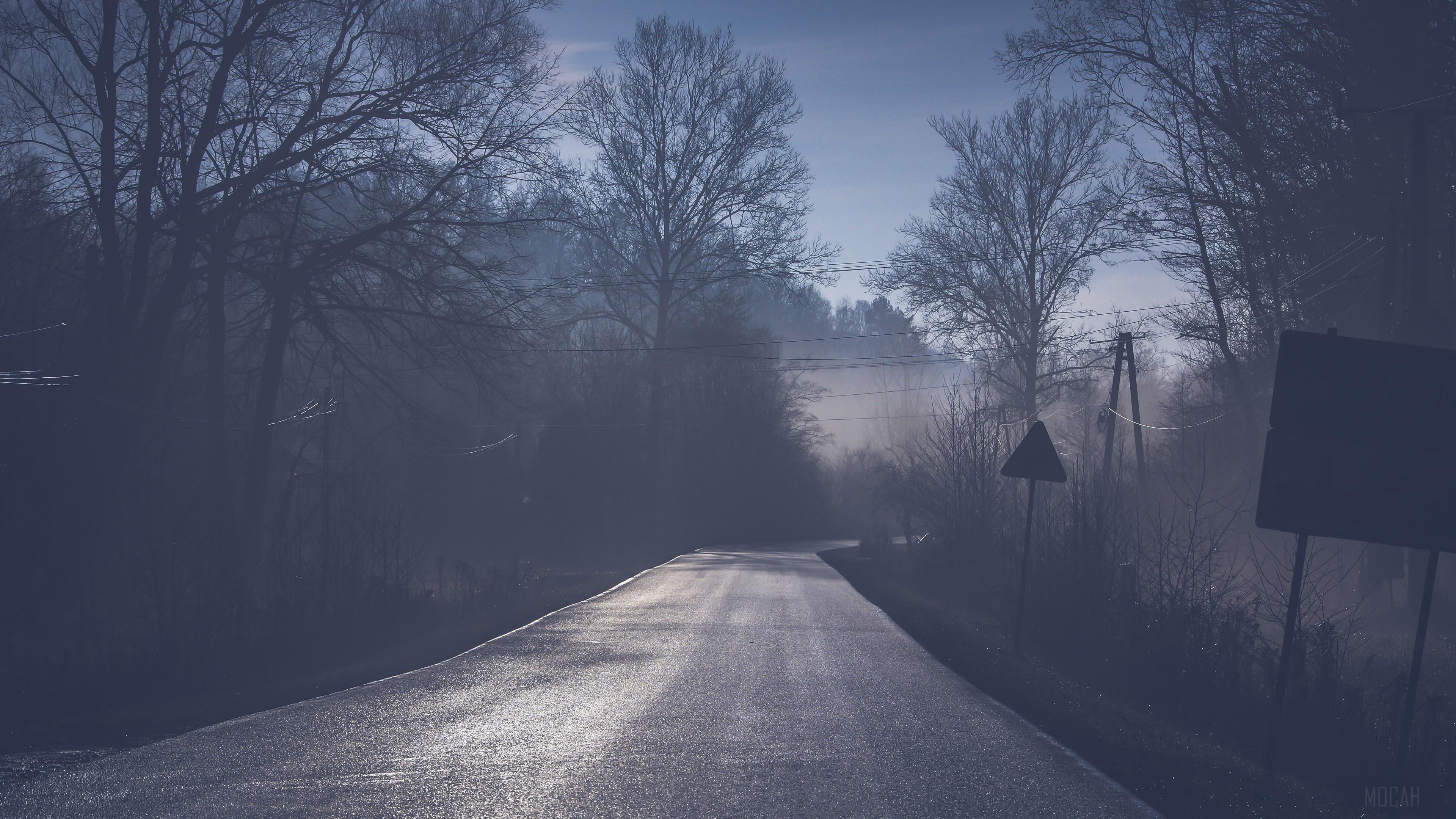 Road through misty forest HD Wallpaper