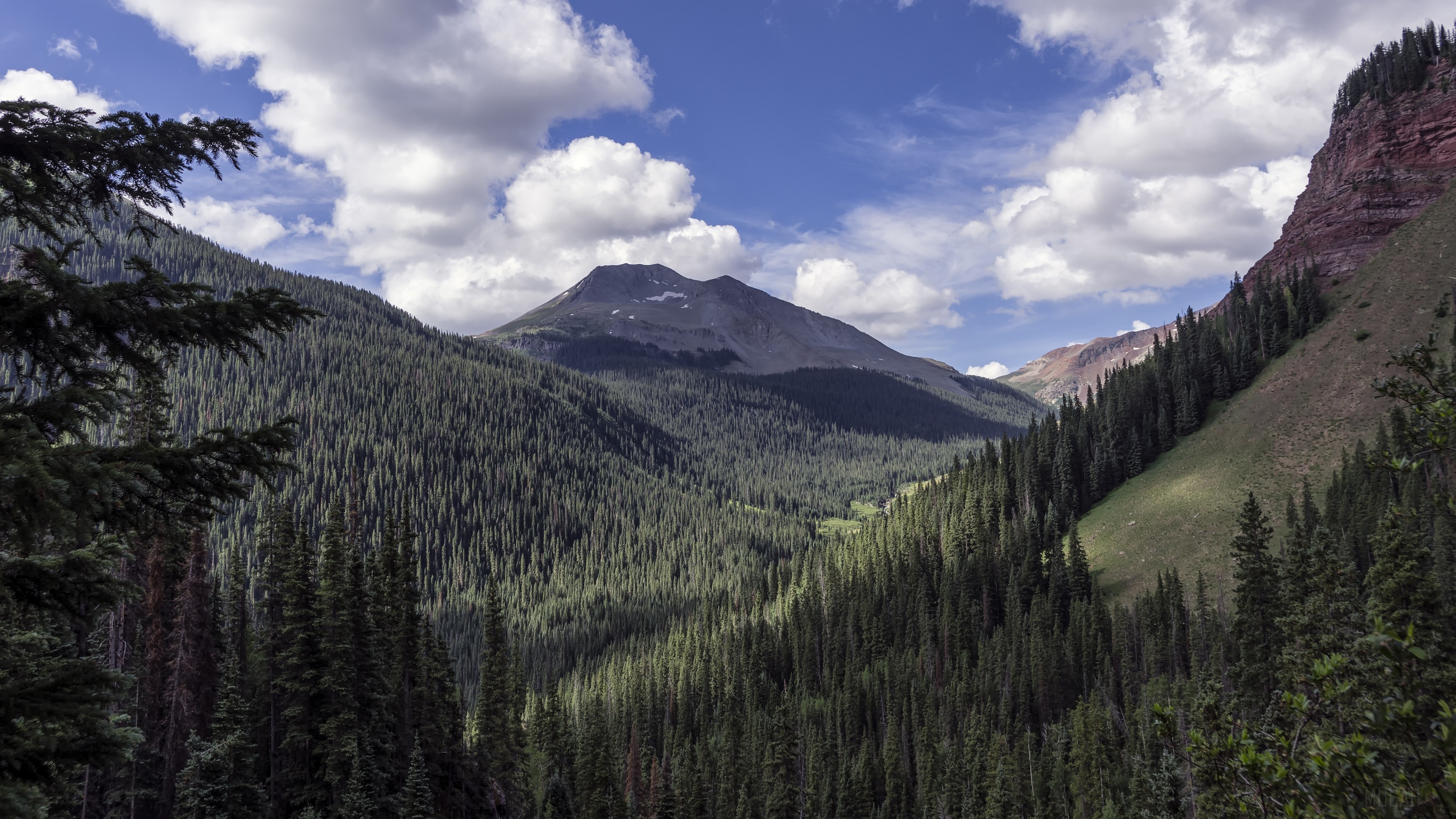 Mountain valley with pine forest and clouds 4k HD Wallpaper