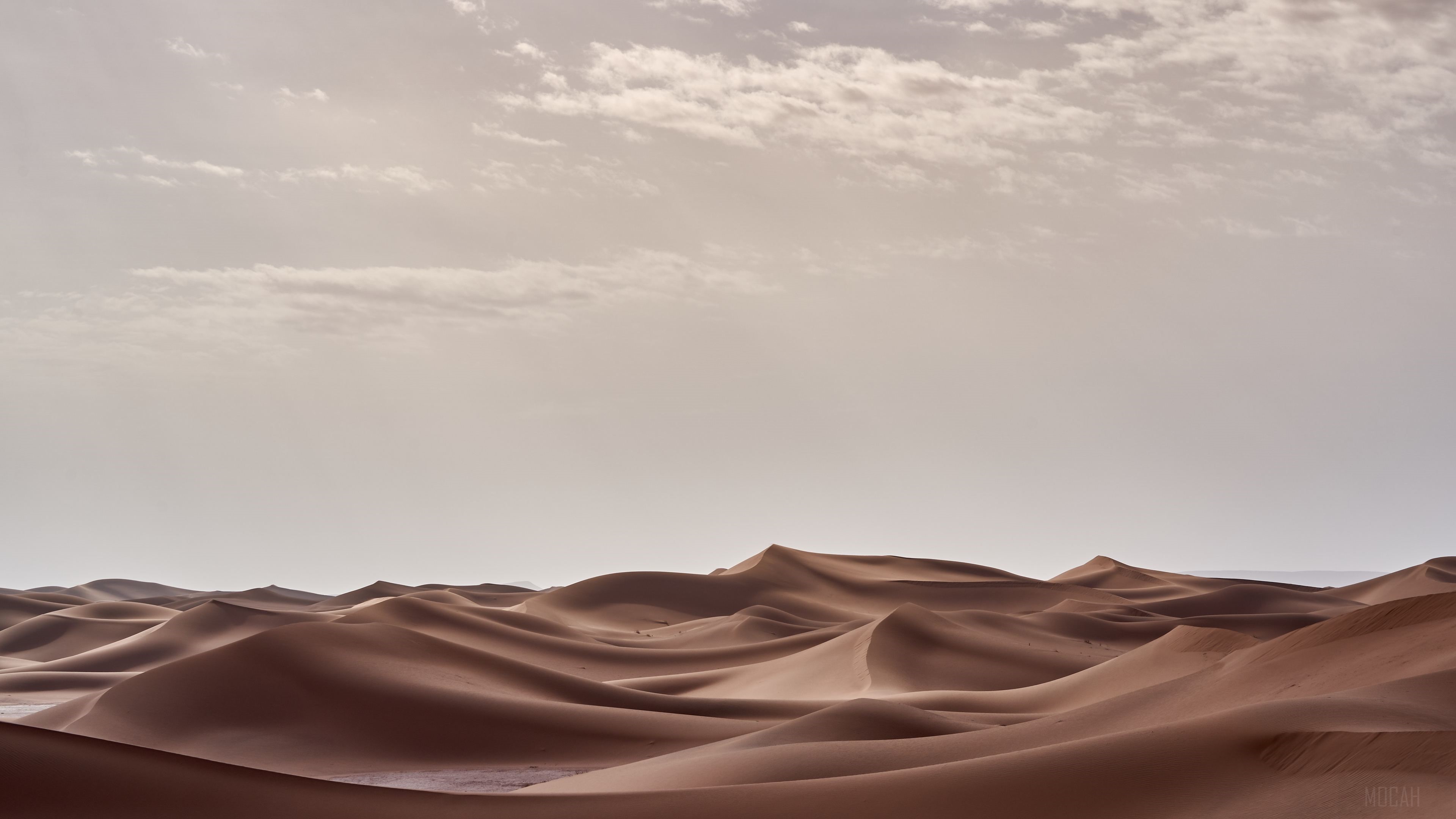 Desert Landscape Morning HD Wallpaper