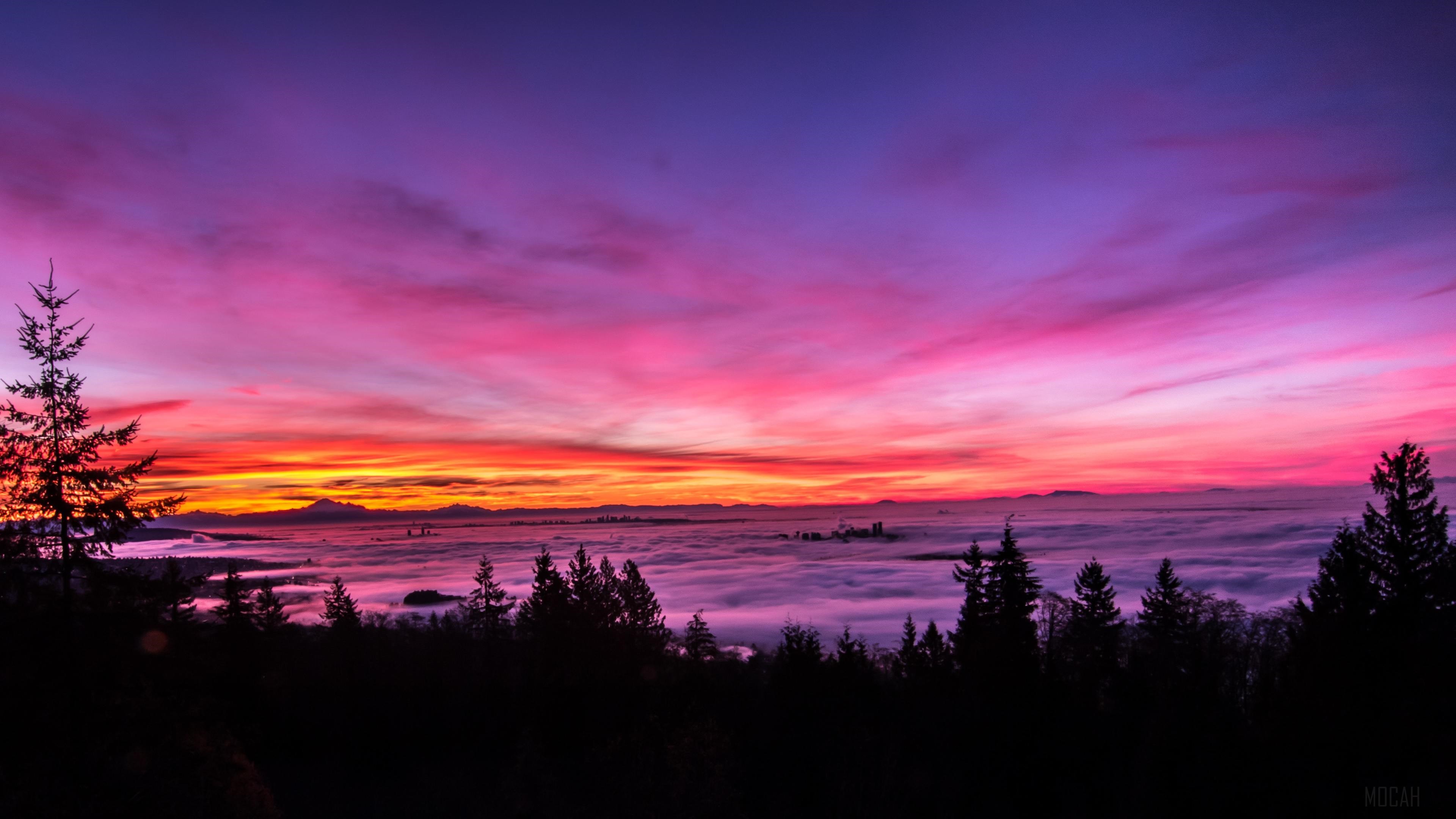 Pink and purple sunset over a foggy valley with trees HD Wallpaper