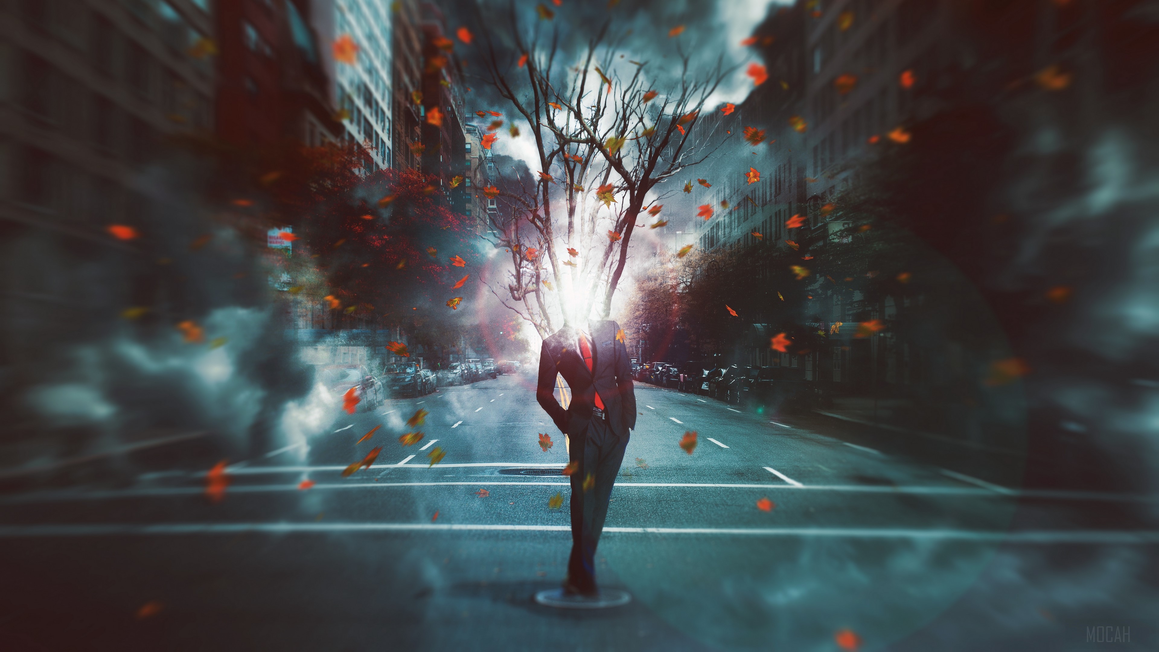 Man with tree for head in city street HD Wallpaper