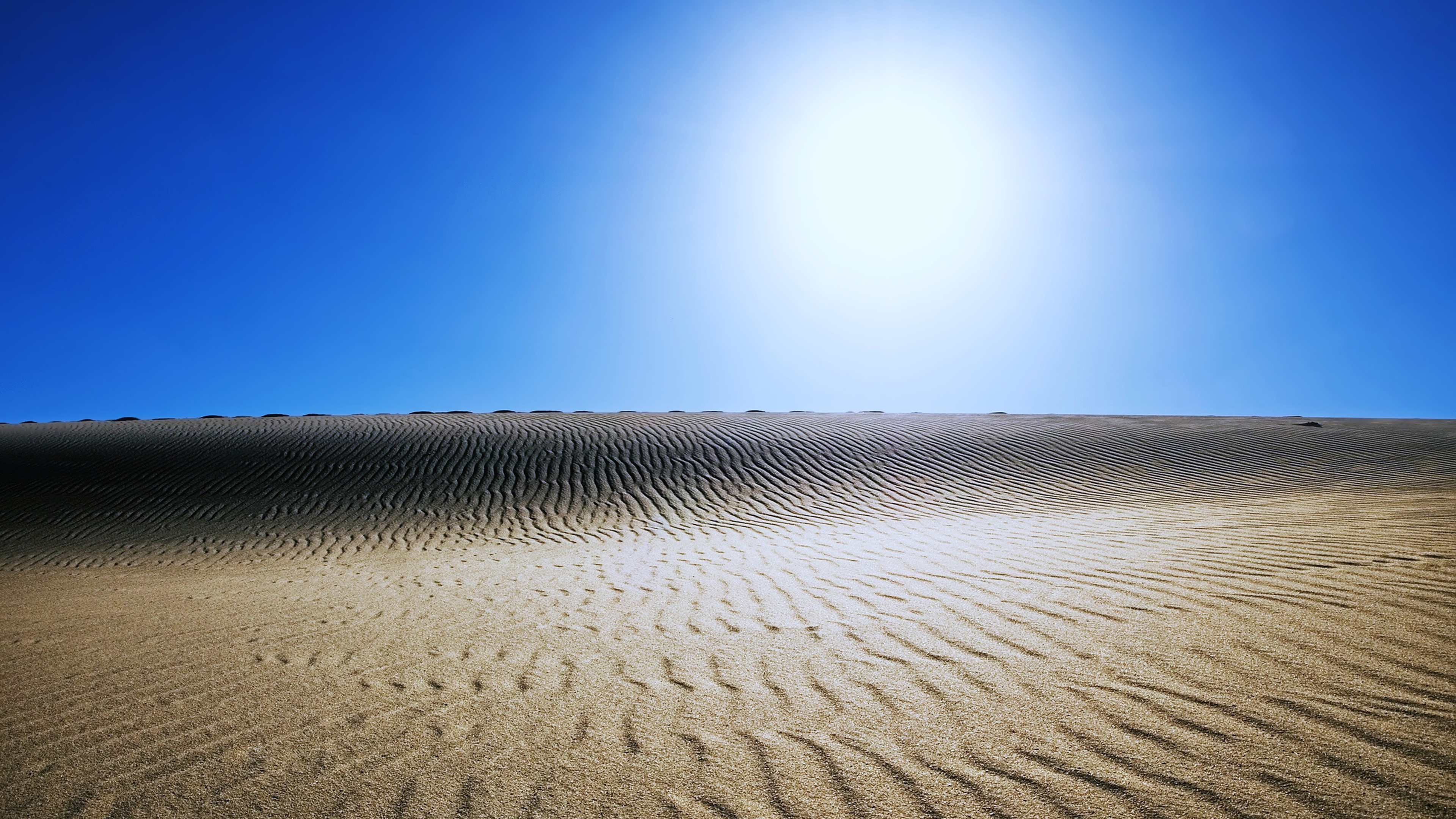 Sahara Desert dunes under bright sun 4K HD Wallpaper