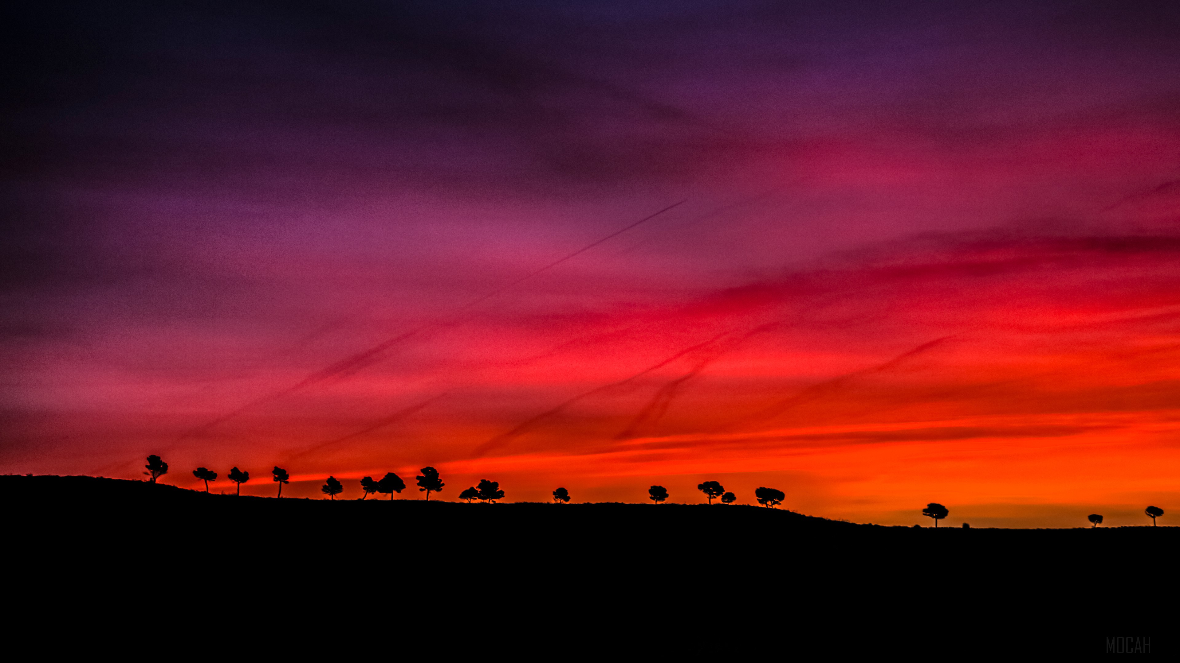 Dark Red Scenery with Silhouetted Trees at Sunrise 4K HD Wallpaper