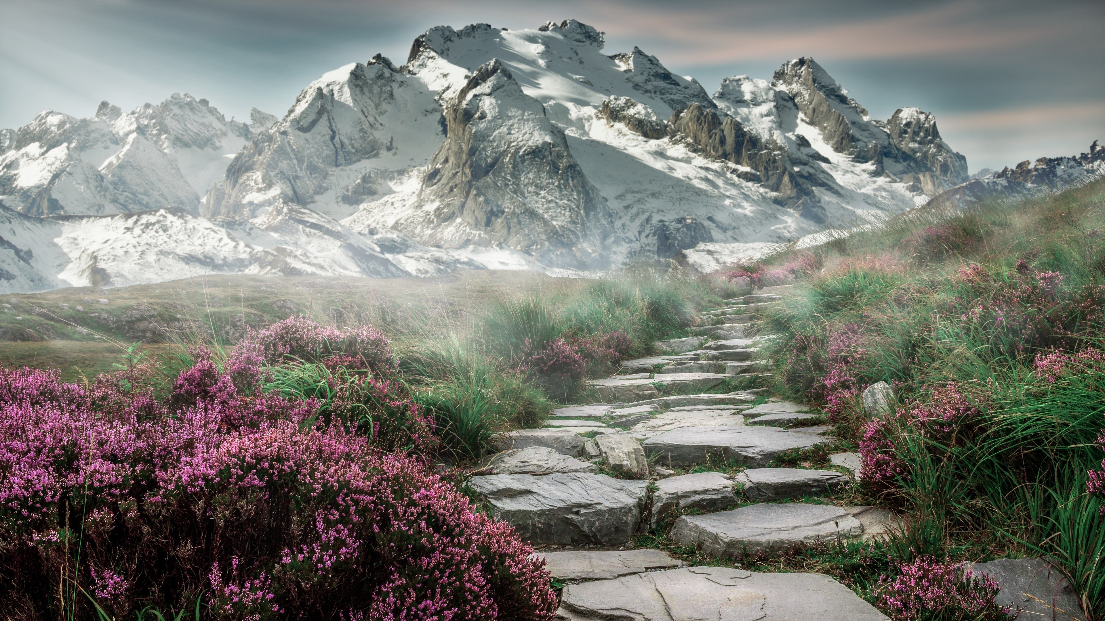 Stone path through heather to snow-capped mountains HD Wallpaper