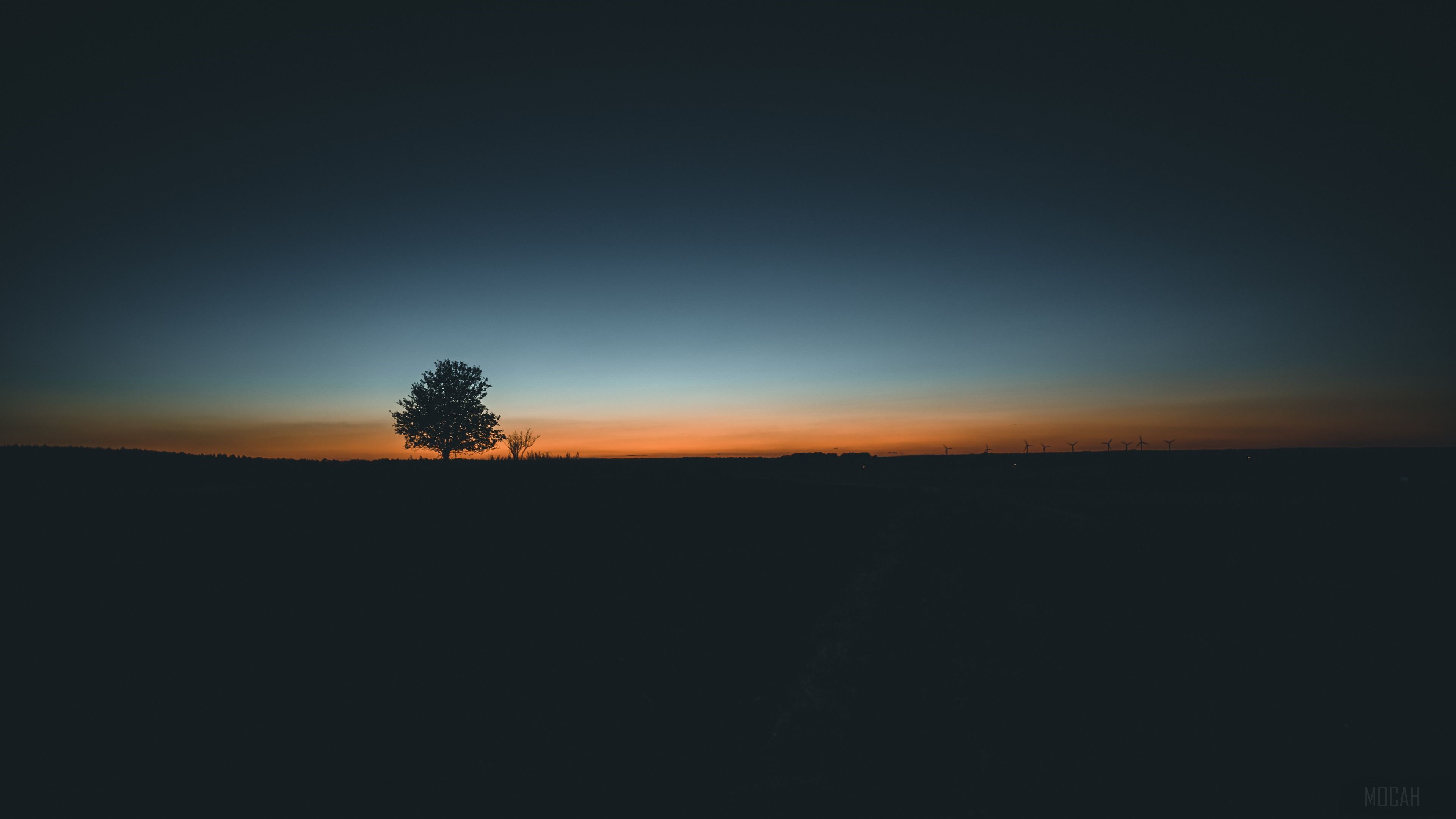 Silhouette of a tree at sunrise HD Wallpaper