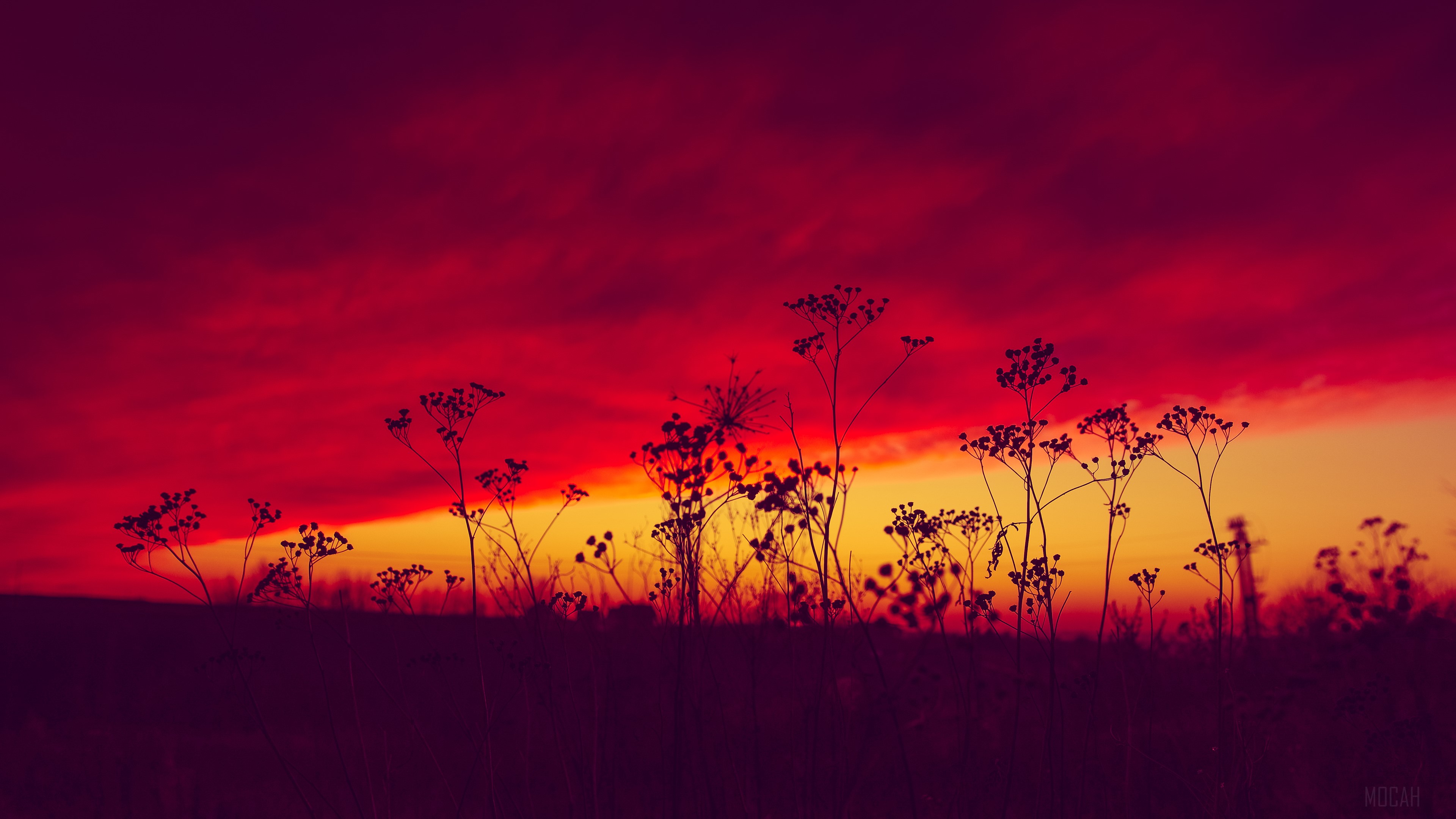 Poland Sunset HD Wallpaper