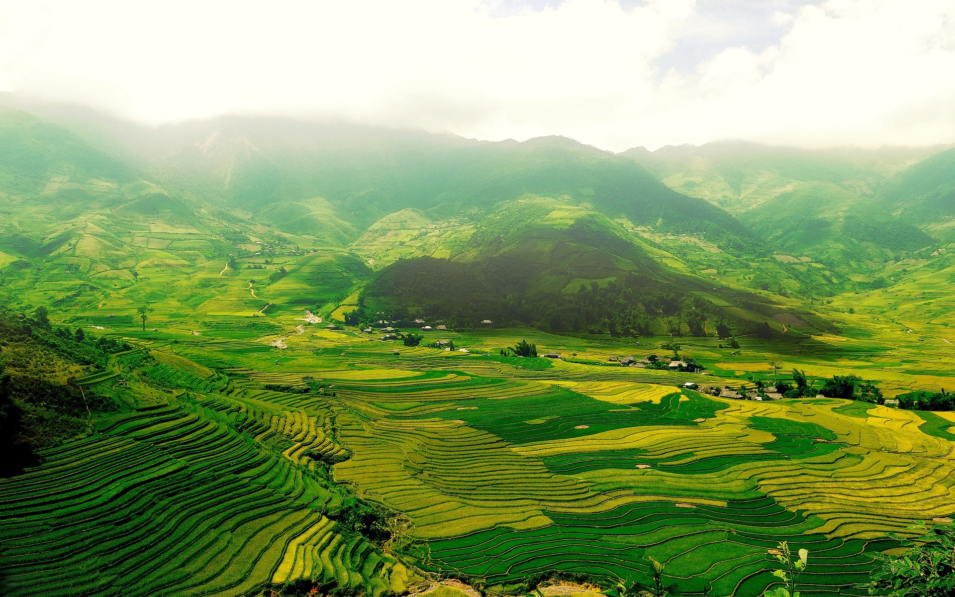 Terraced rice fields in a mountainous valley HD Wallpaper
