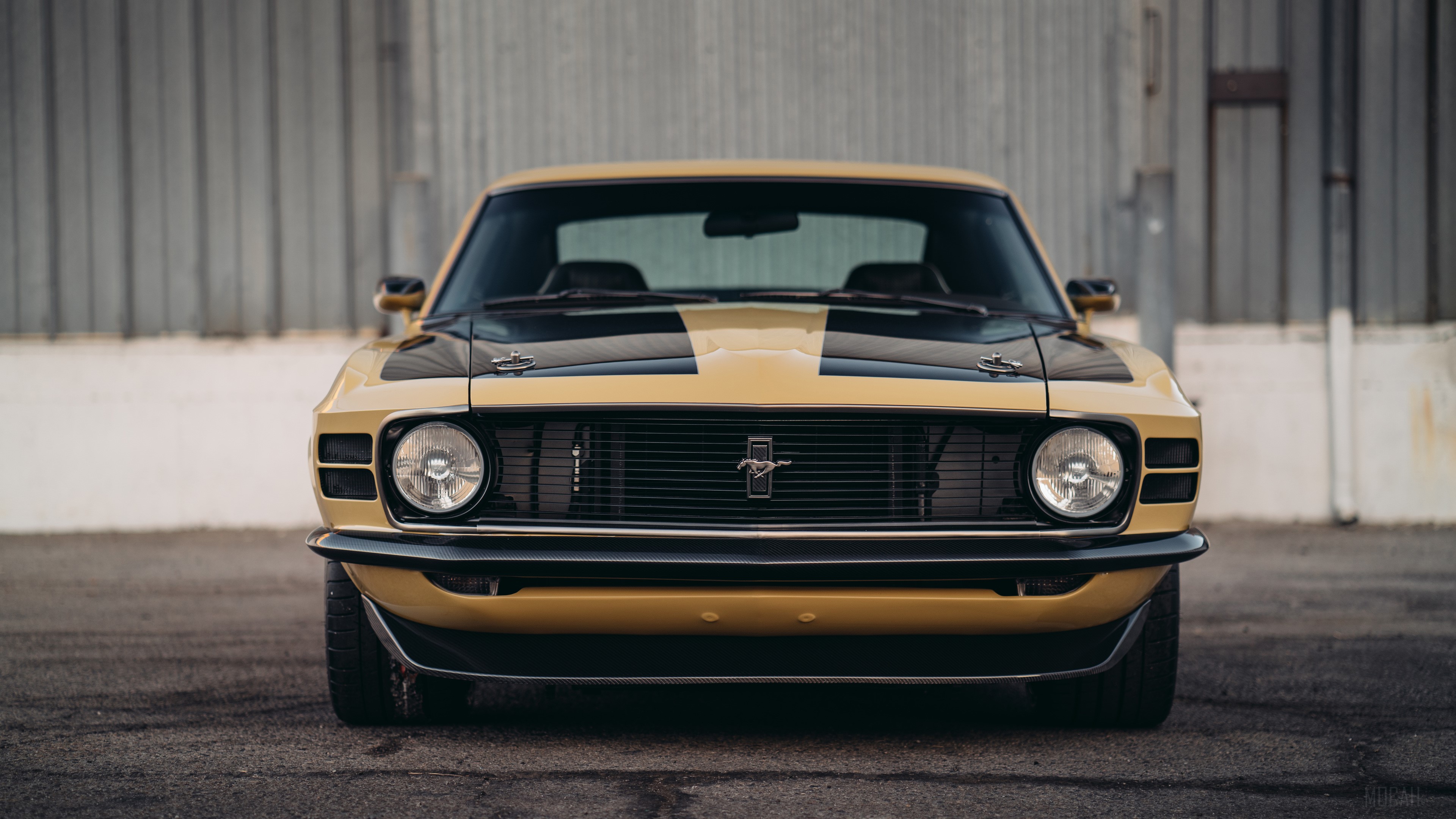 SpeedKore RDJ Boss 302 Mustang Front 4k HD Wallpaper