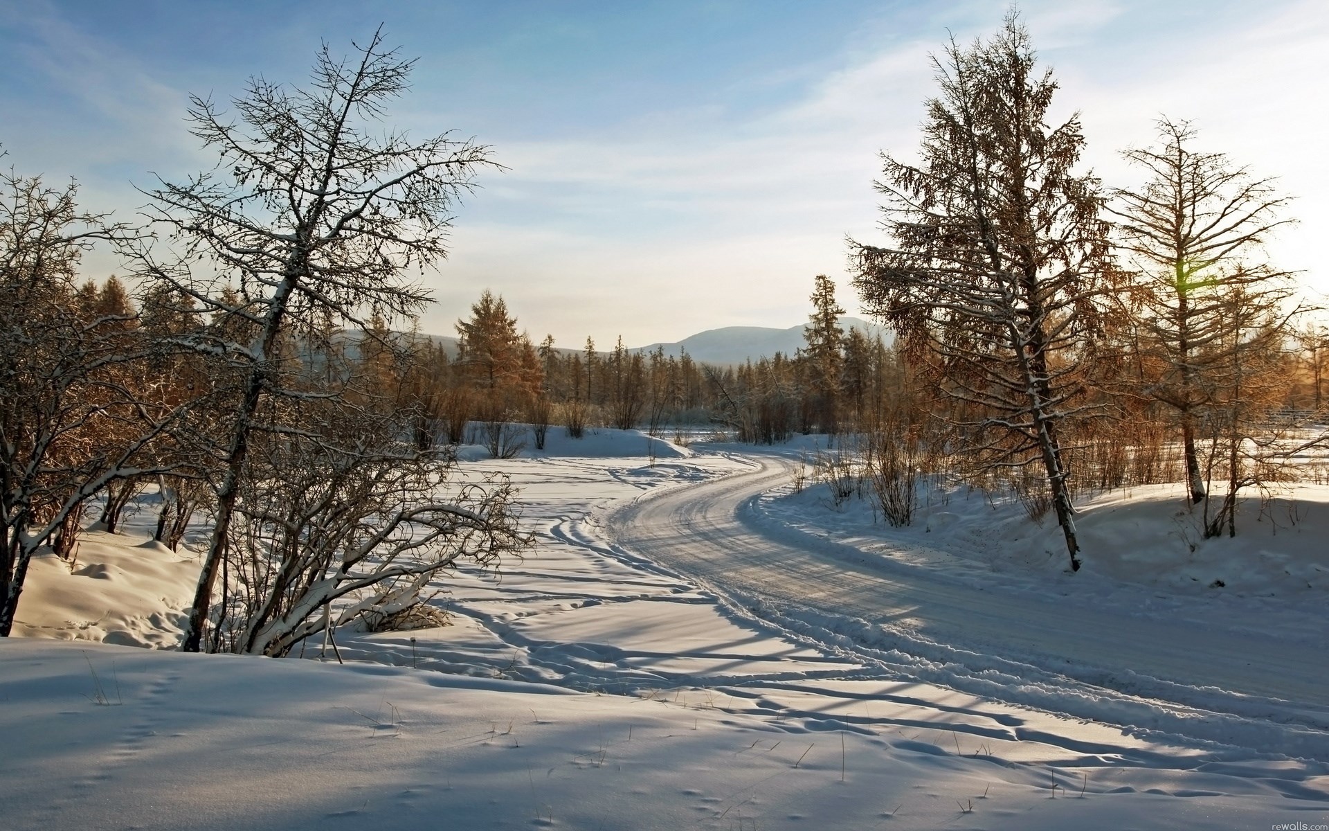 Snowy road through a winter forest HD Wallpaper