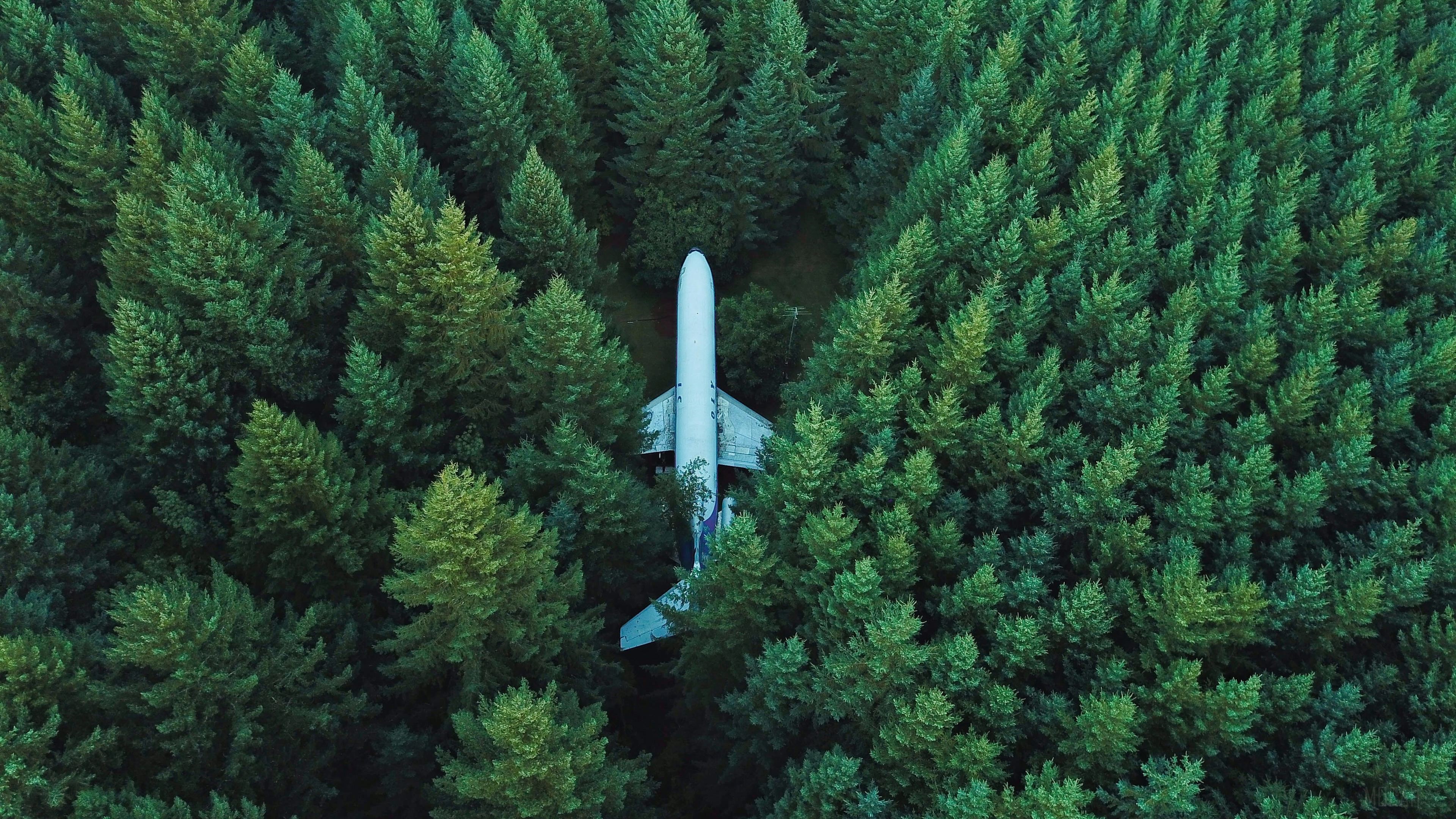 Plane in the middle of a forest 4K HD Wallpaper