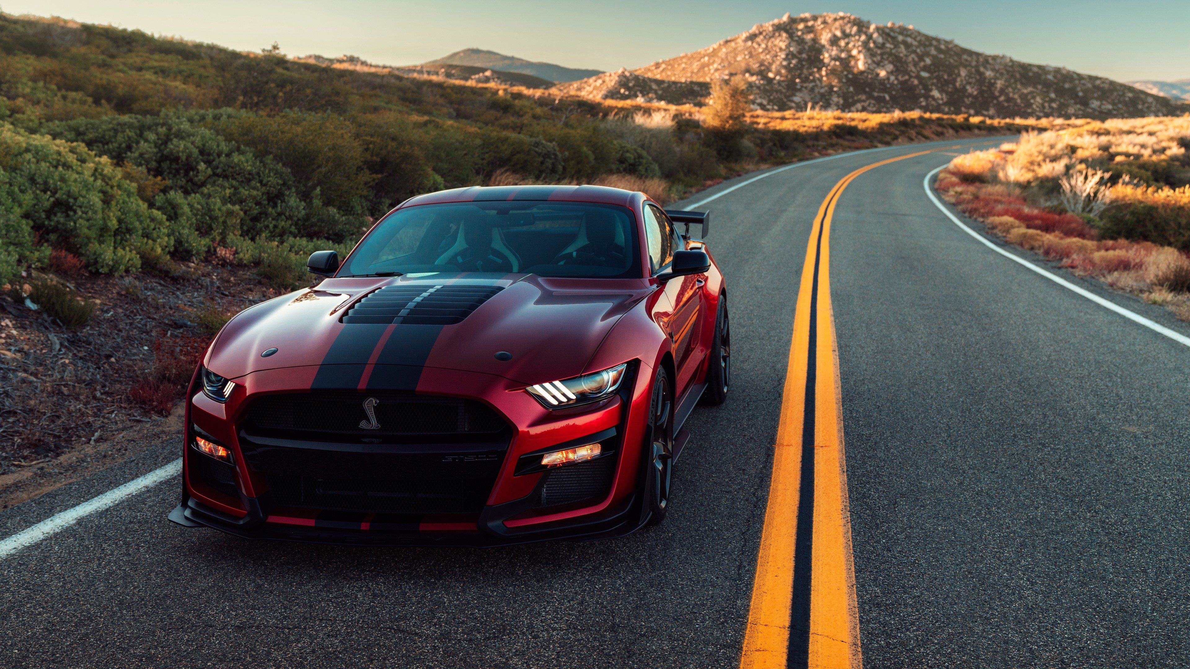 2020 Ford Mustang Shelby GT500 HD Wallpaper