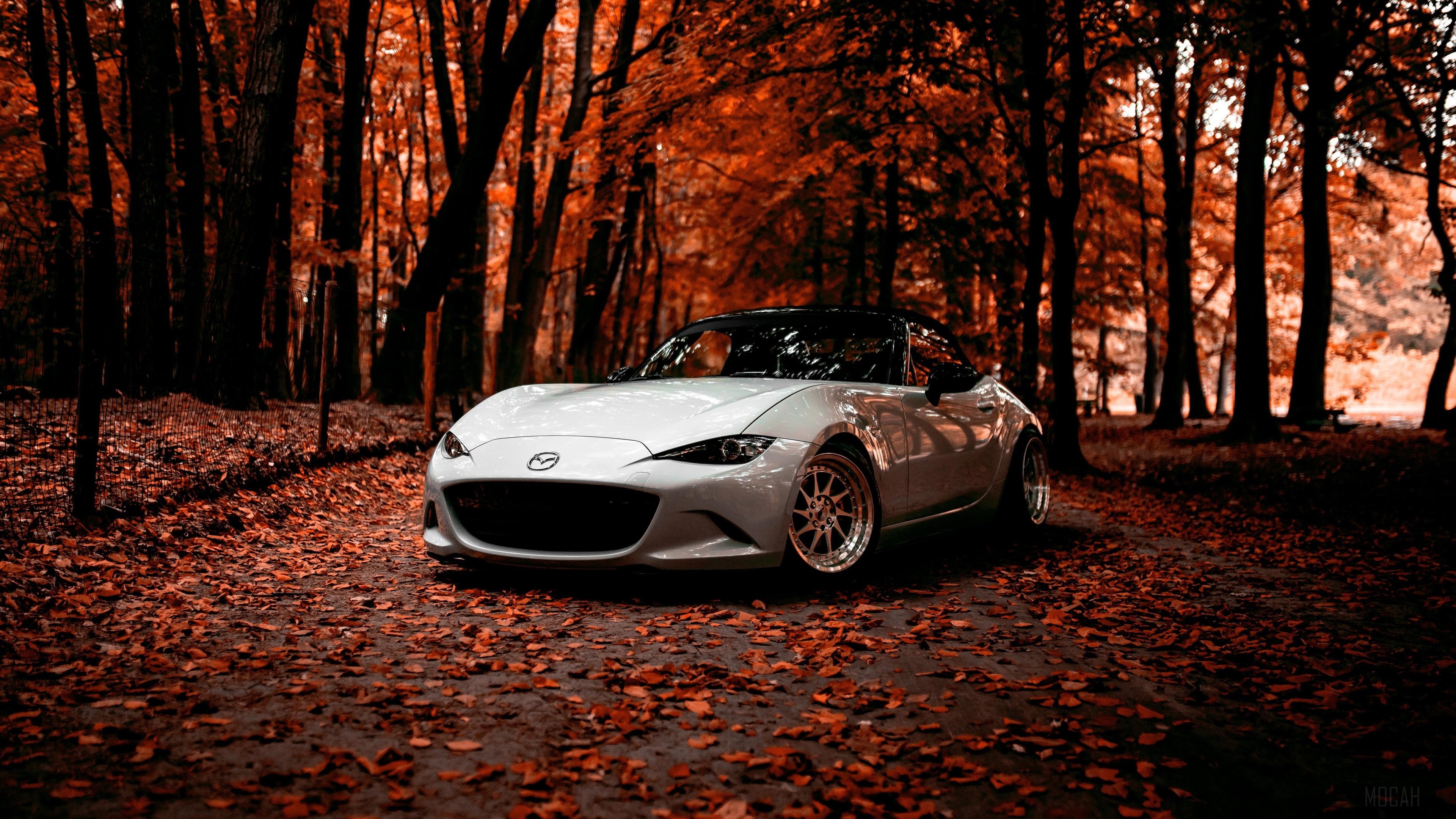 White Mazda Miata in Autumn Forest 4K HD Wallpaper