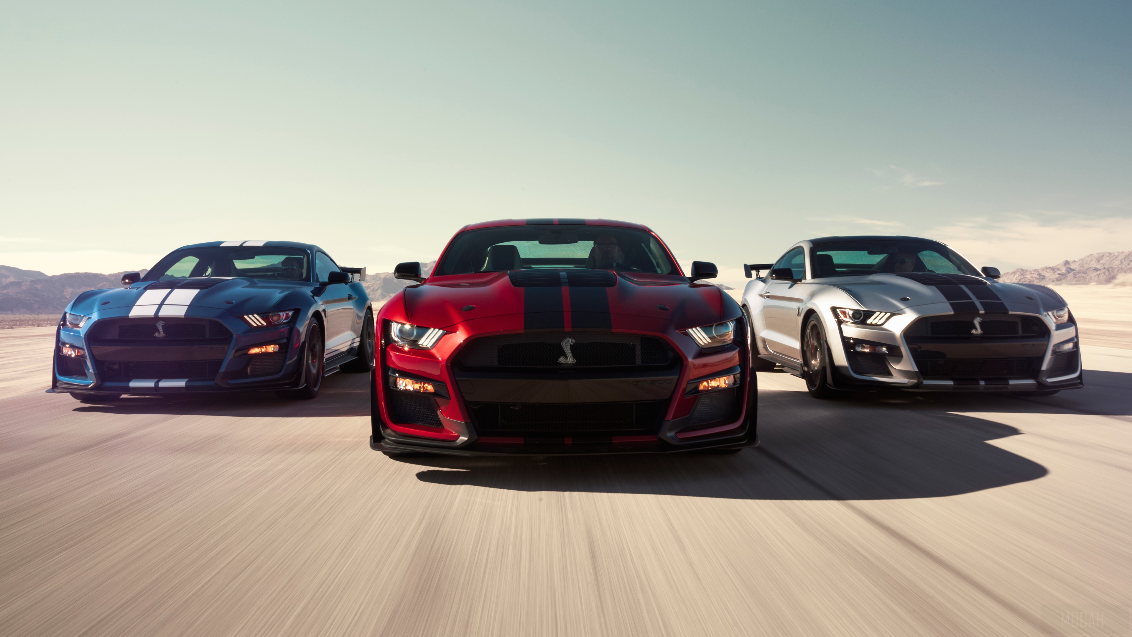 Three Ford Mustang Shelby GT500 cars in a desert HD Wallpaper