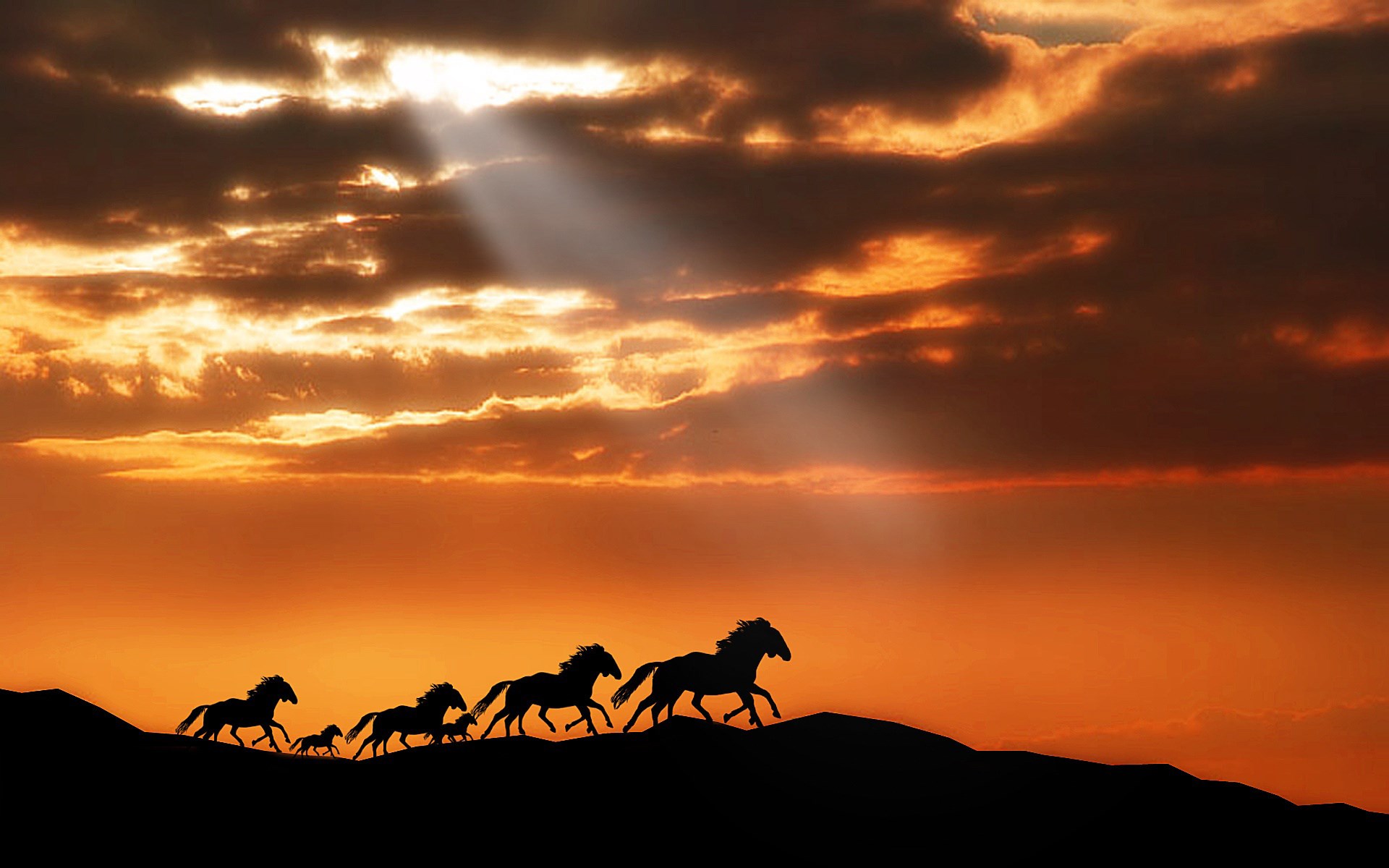 Horses silhouetted against a dramatic sunset sky HD Wallpaper