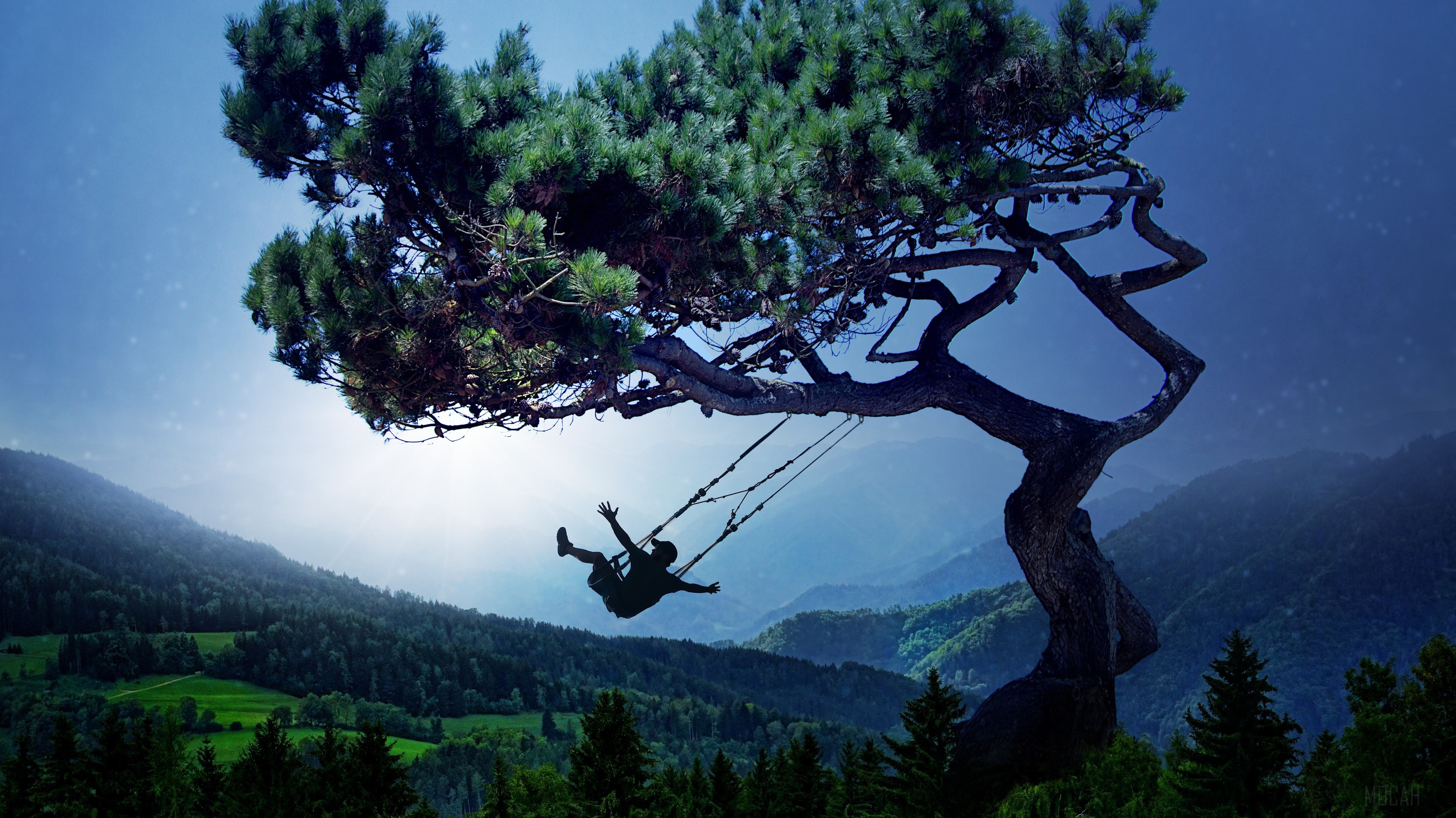 Silhouette of a boy on a swing under a tree HD Wallpaper