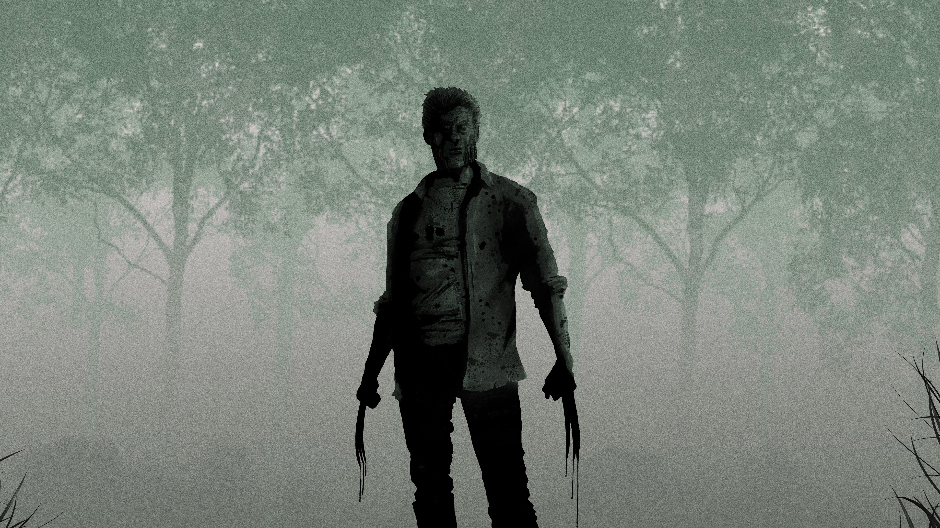 Logan in a foggy forest HD Wallpaper