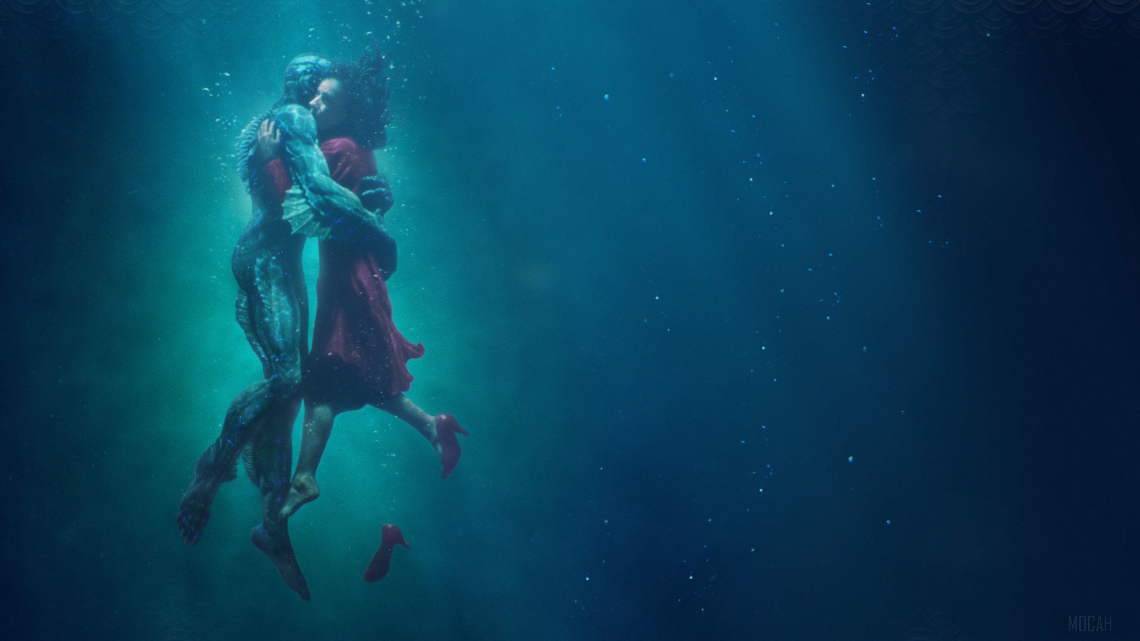 The Shape Of Water HD Wallpaper