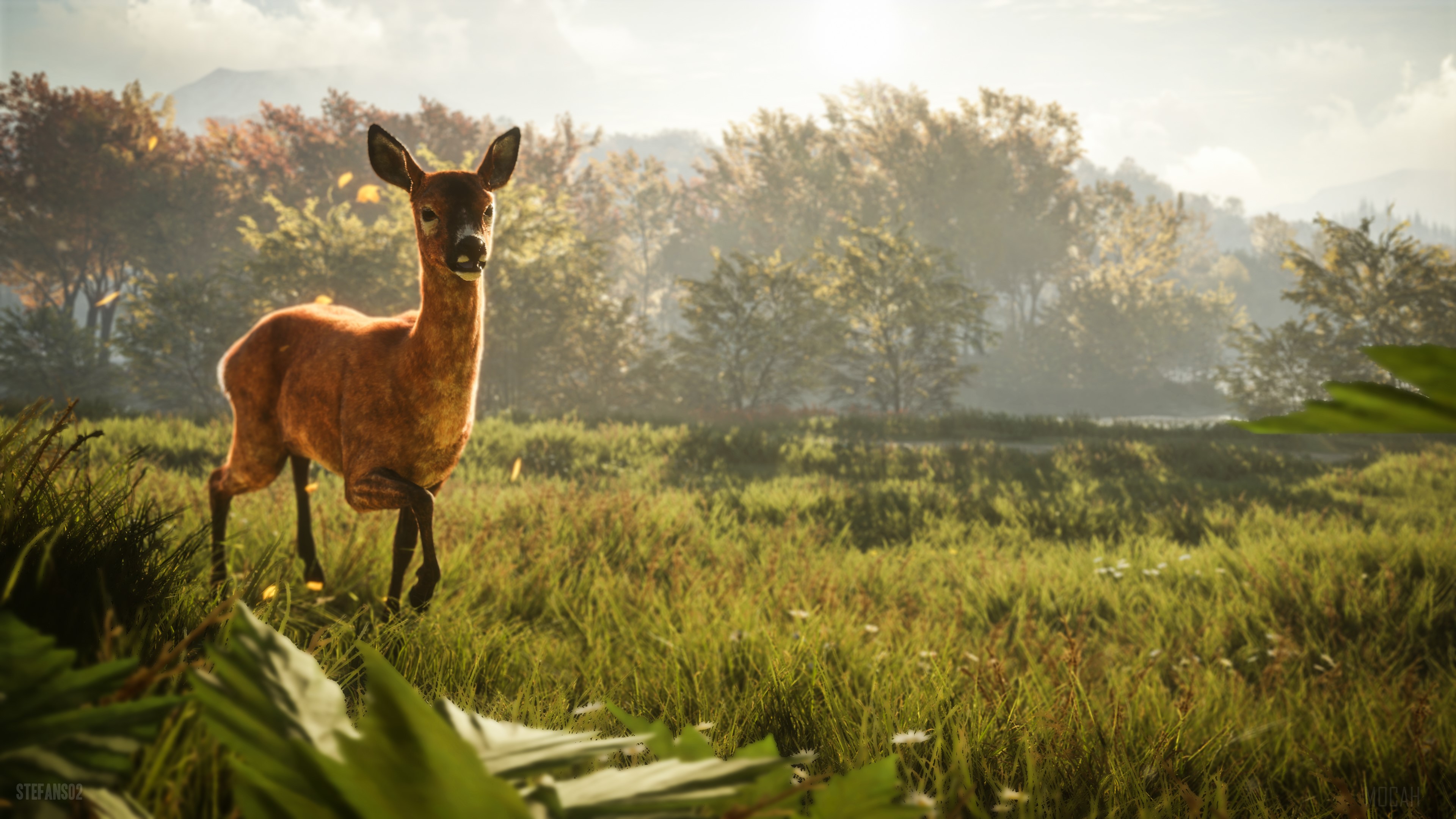 Deer in a field from The Hunter Call Of The Wild 4K HD Wallpaper