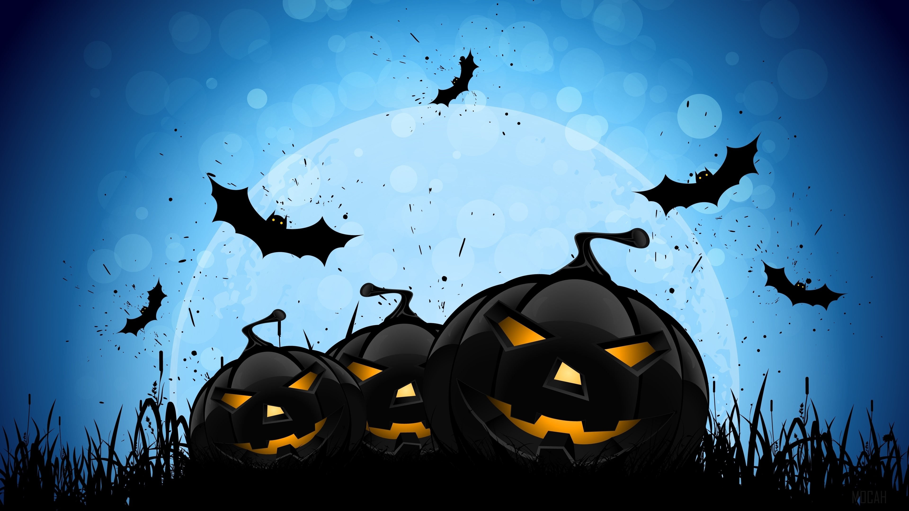 Halloween Pumpkins and Bats 4K HD Wallpaper