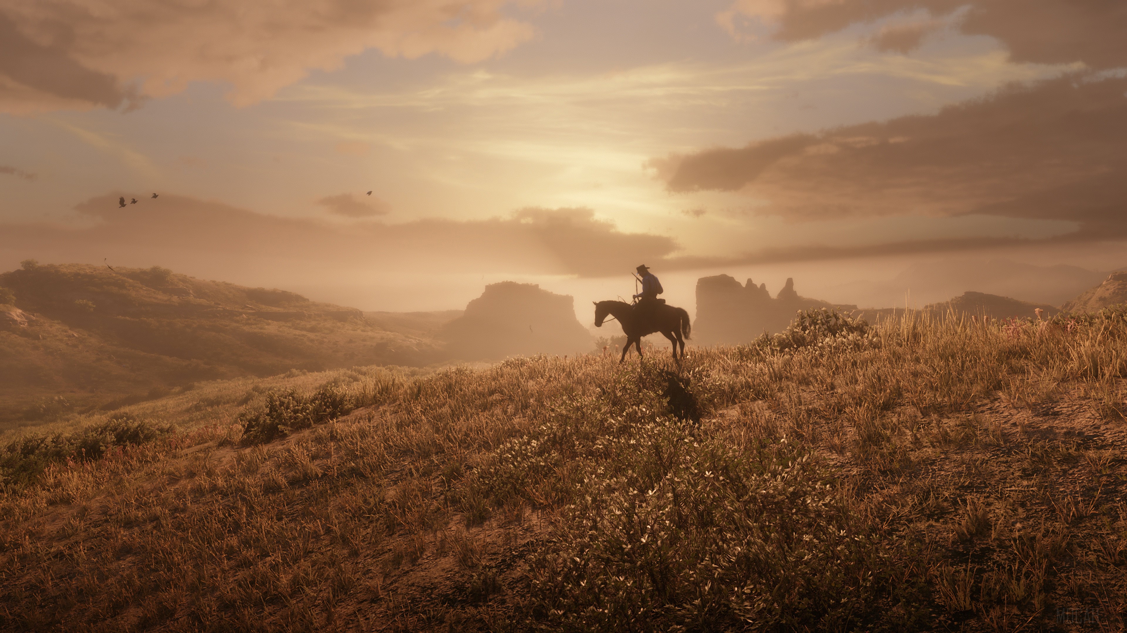 Red Dead Redemption 2 4K HD Wallpaper