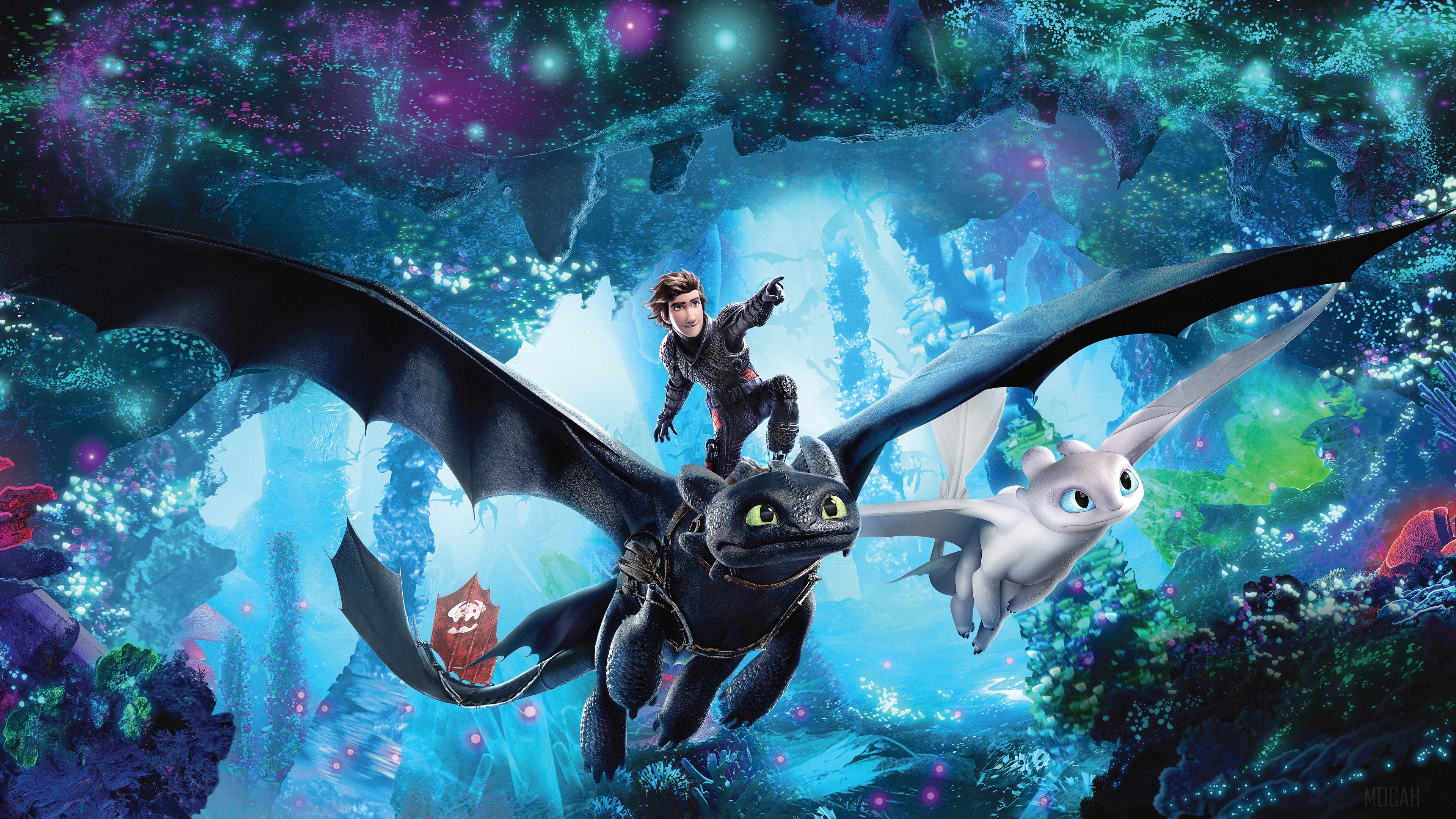 Hiccup and Toothless from How to Train Your Dragon The Hidden World 4K HD Wallpaper