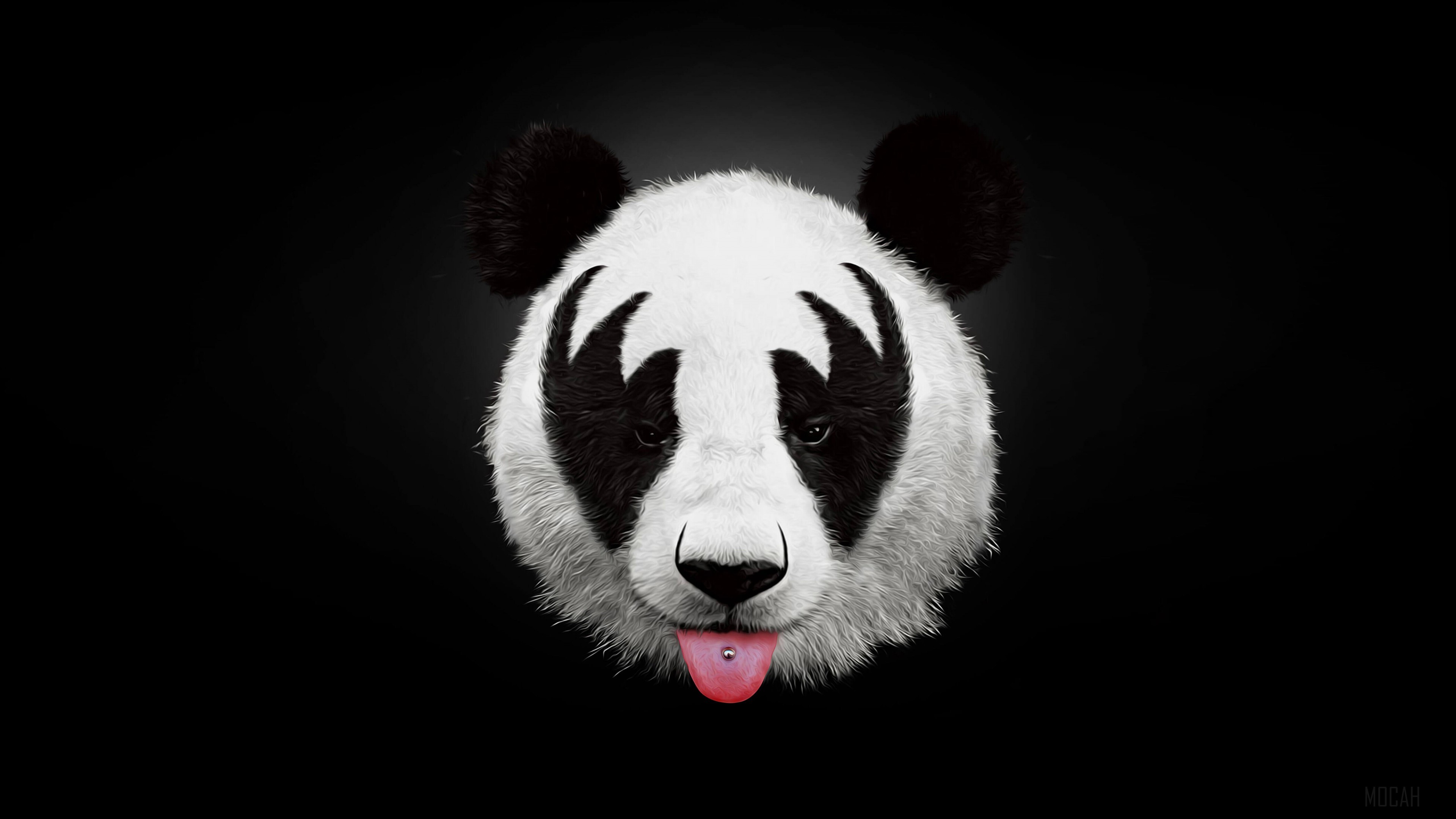 Panda with KISS makeup 4K HD Wallpaper