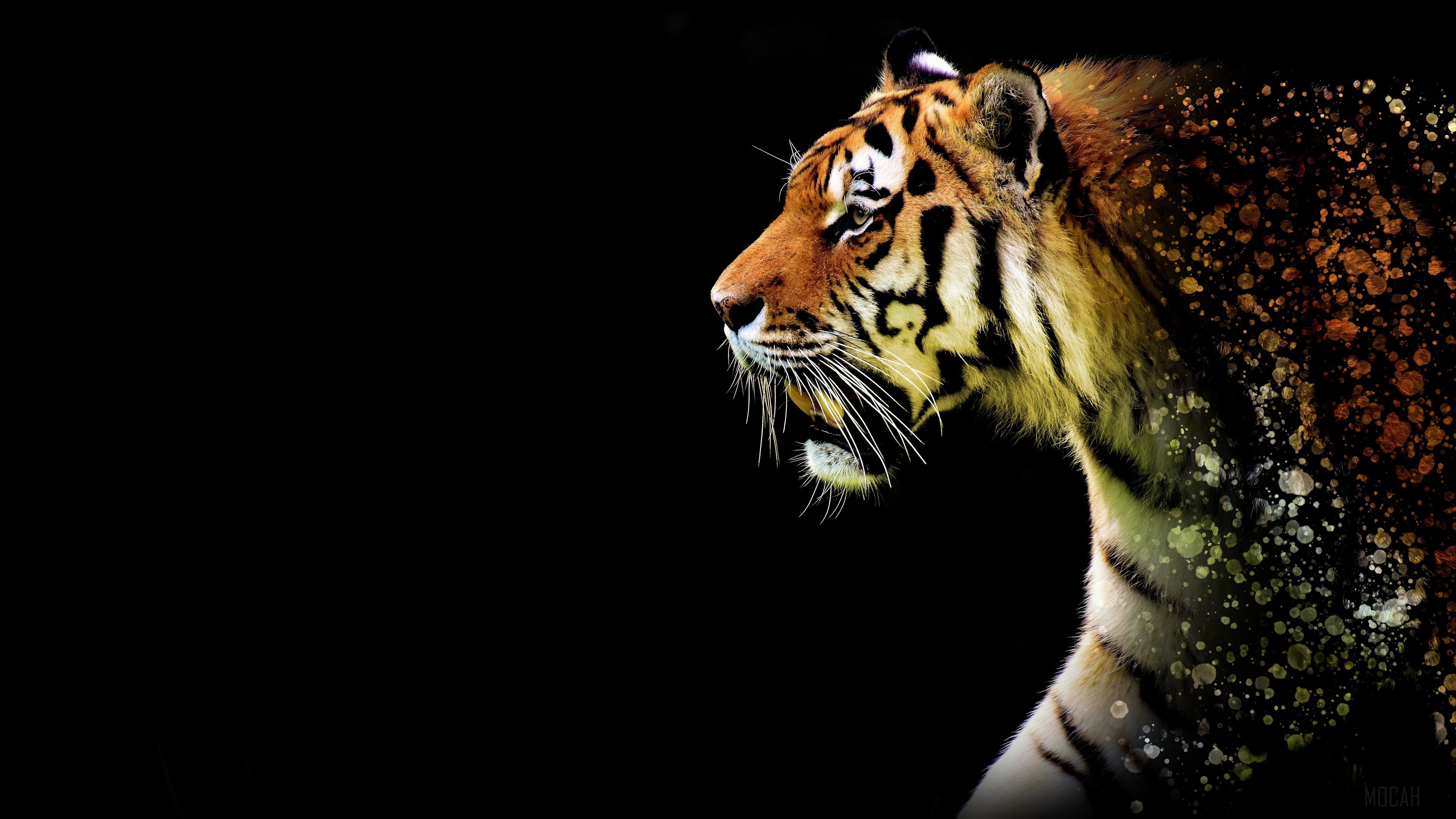 Tiger Abstract HD Wallpaper