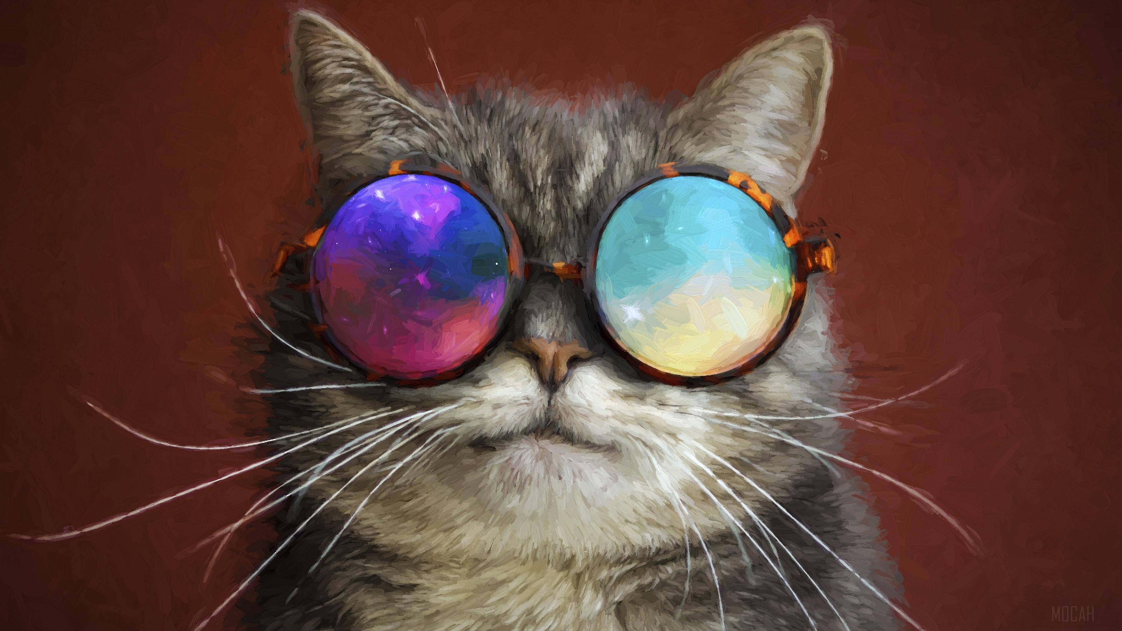 Cat Wearing Colorful Round Glasses HD Wallpaper