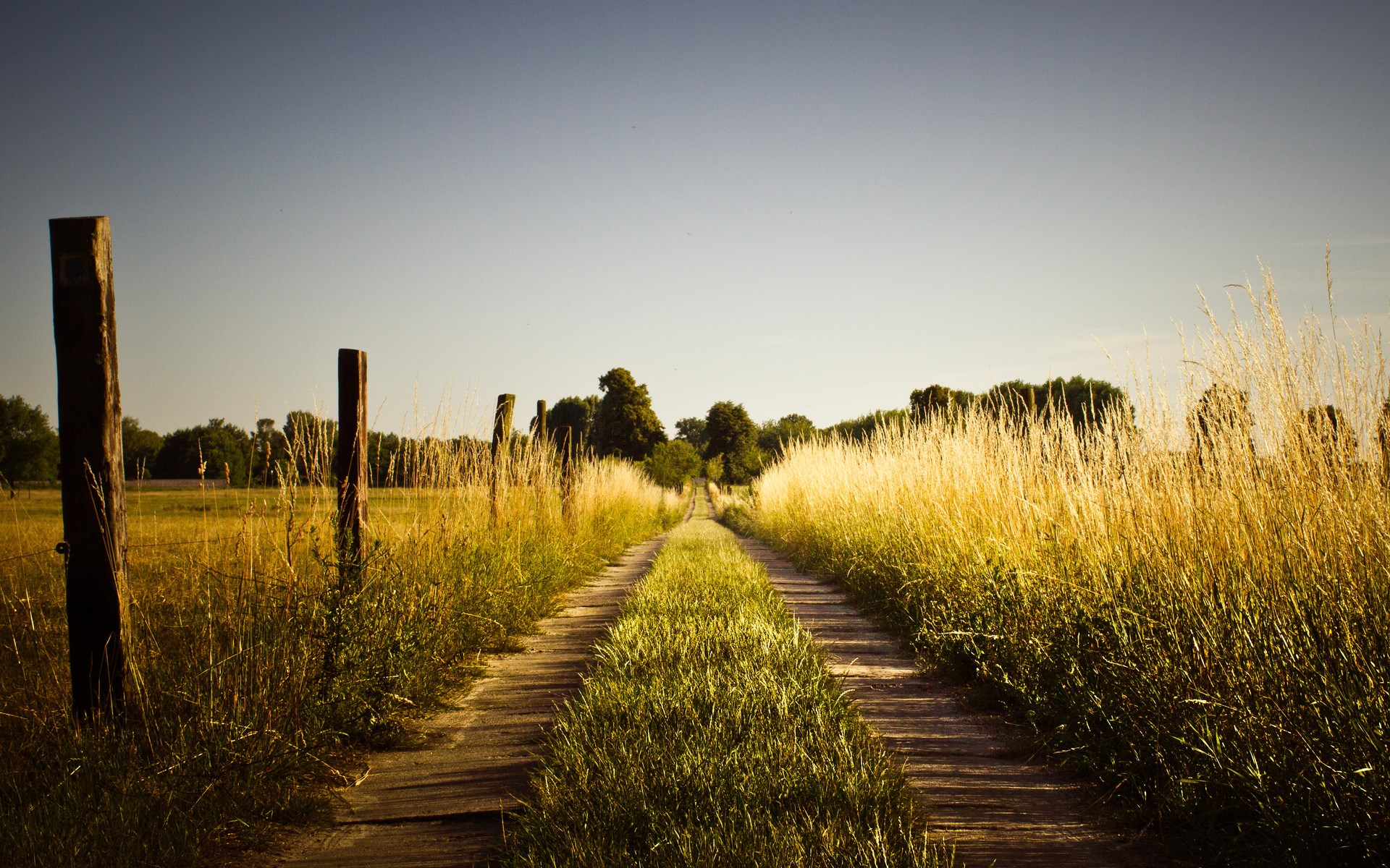 Dirt road through a grassy field with wooden posts HD Wallpaper