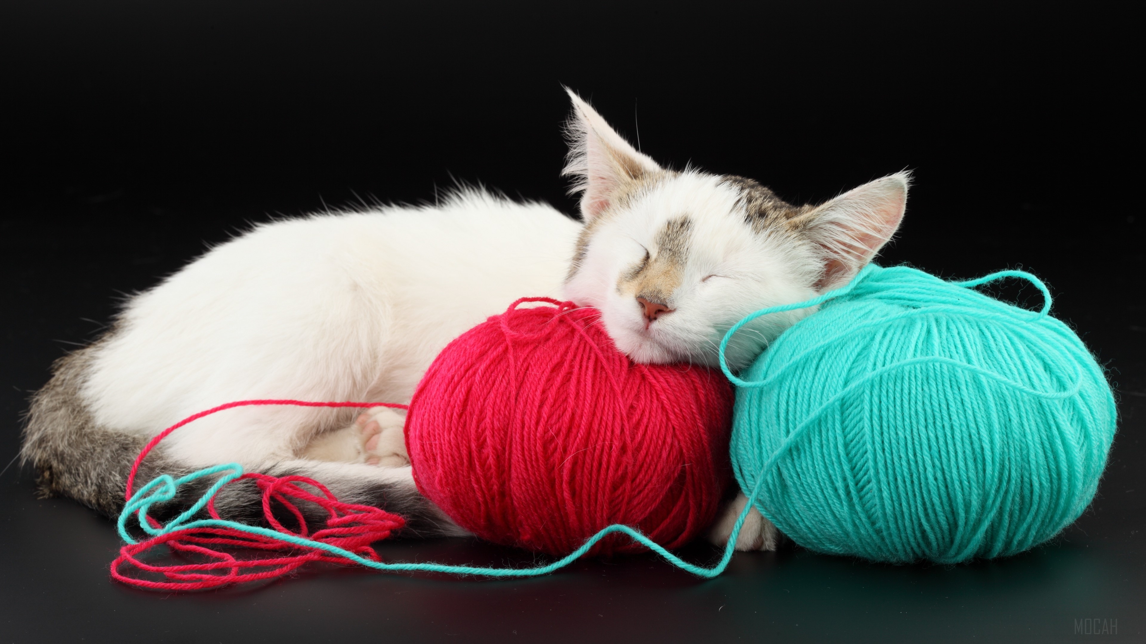 Kitten sleeping on balls of yarn 4K HD Wallpaper