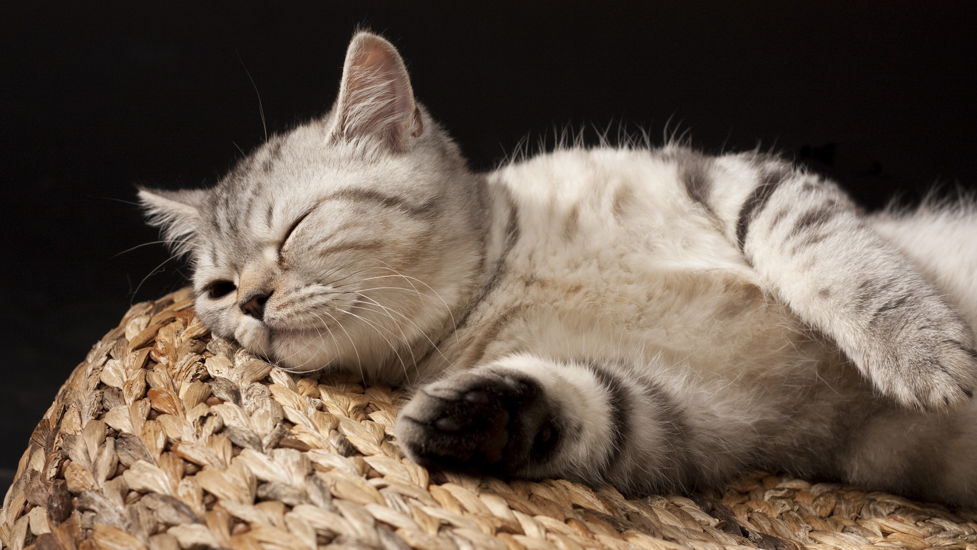 Striped kitten sleeping on a woven surface 4K HD Wallpaper
