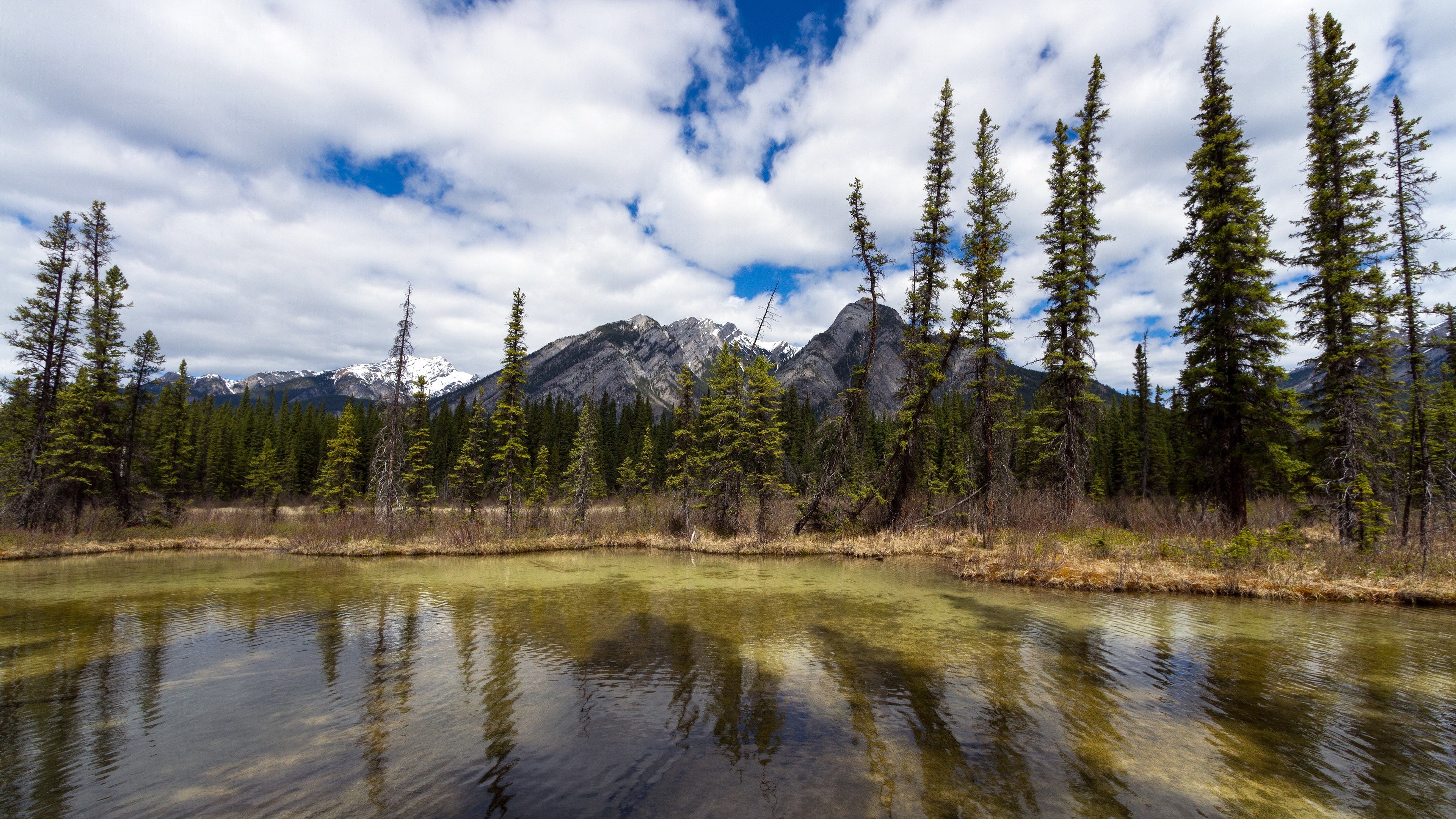 Trees reflected in a clear mountain lake under a cloudy sky HD Wallpaper