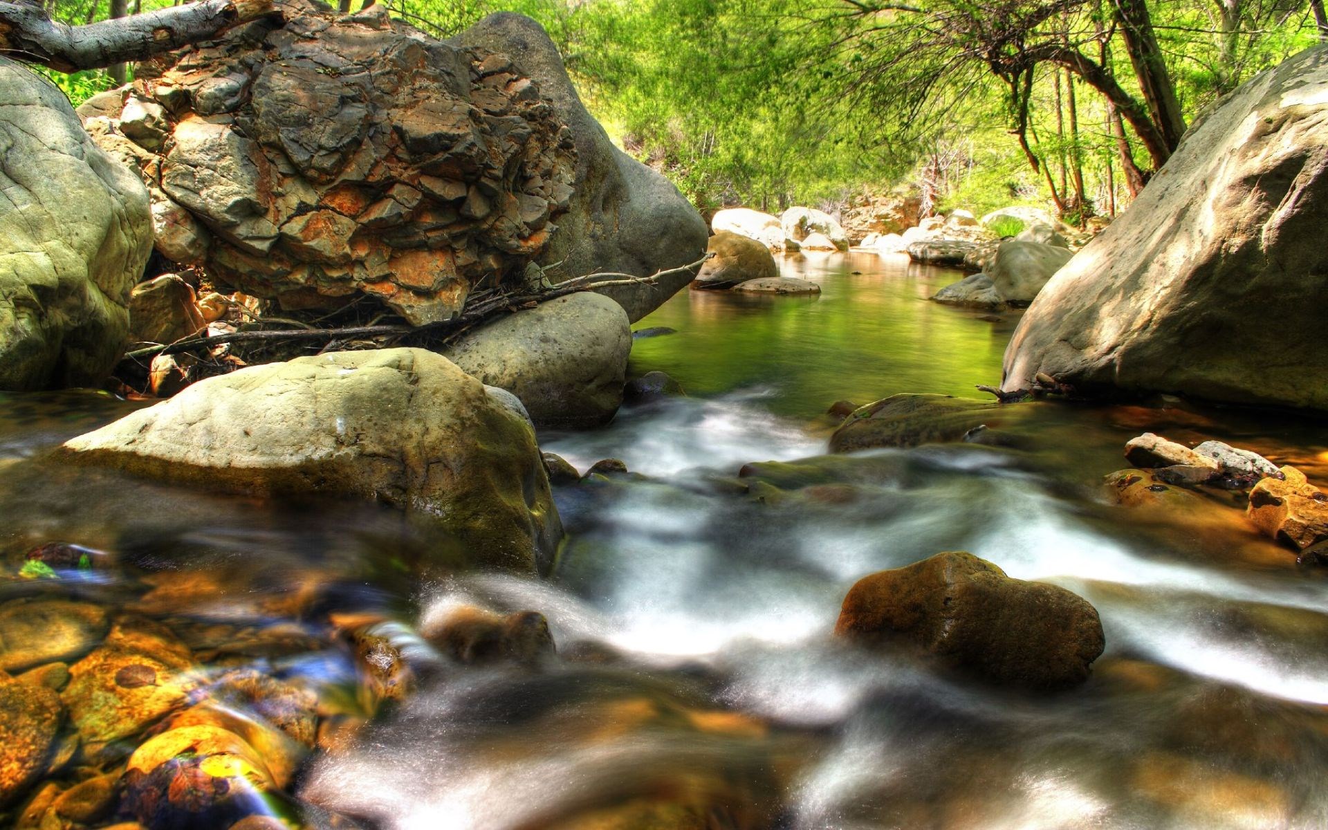 A stream flows through a rocky forest with green trees HD Wallpaper
