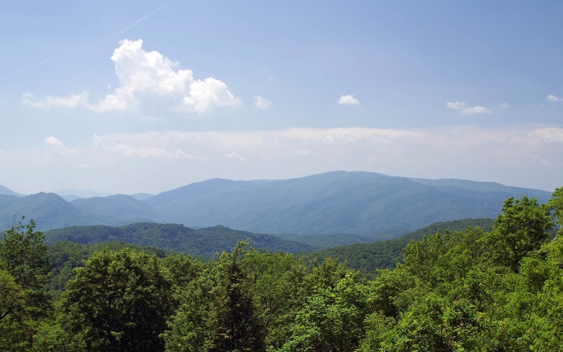 Mountain range with green trees and blue sky HD Wallpaper