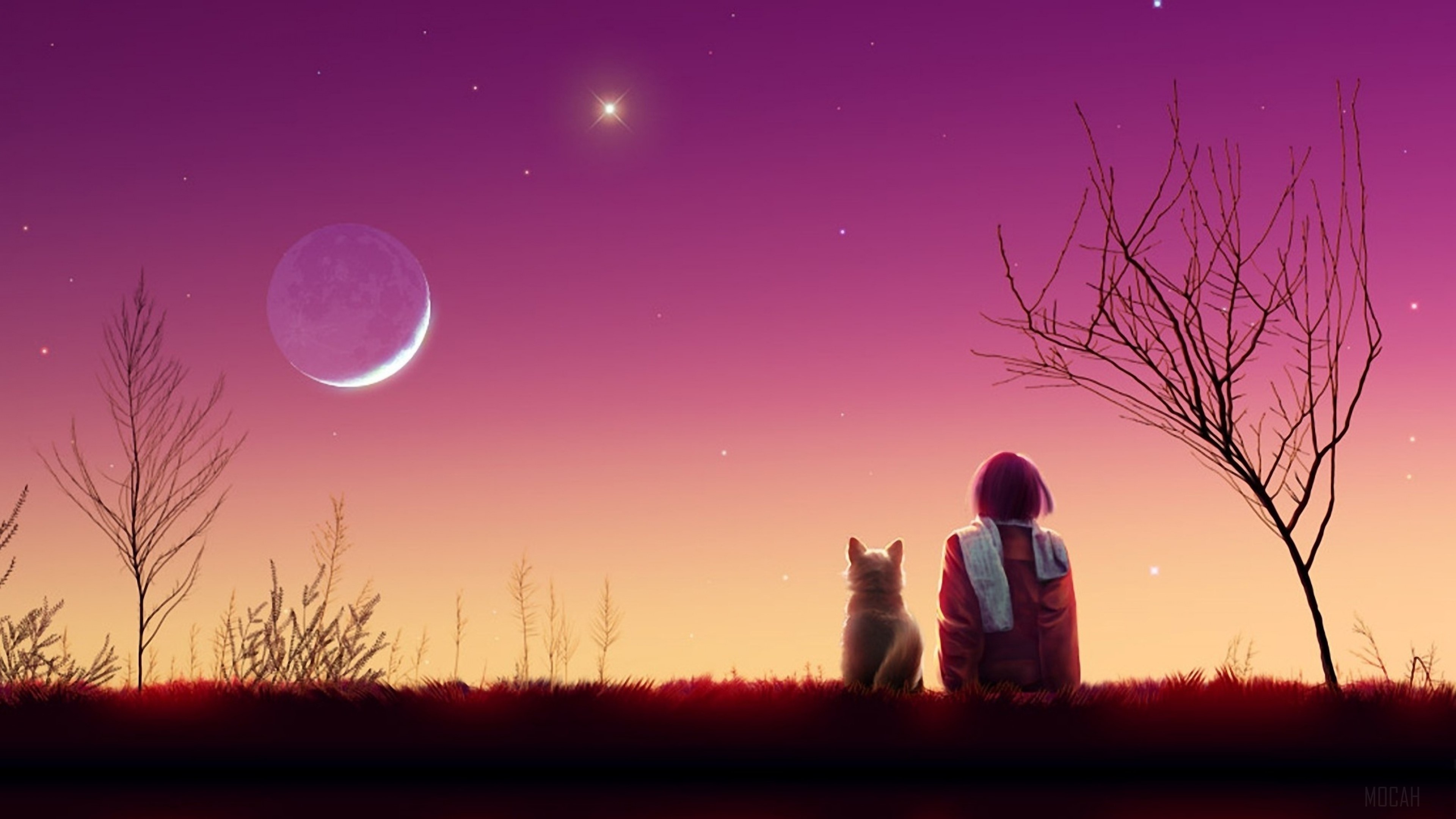 Anime Girl and Dog Watching Sunset 4K HD Wallpaper