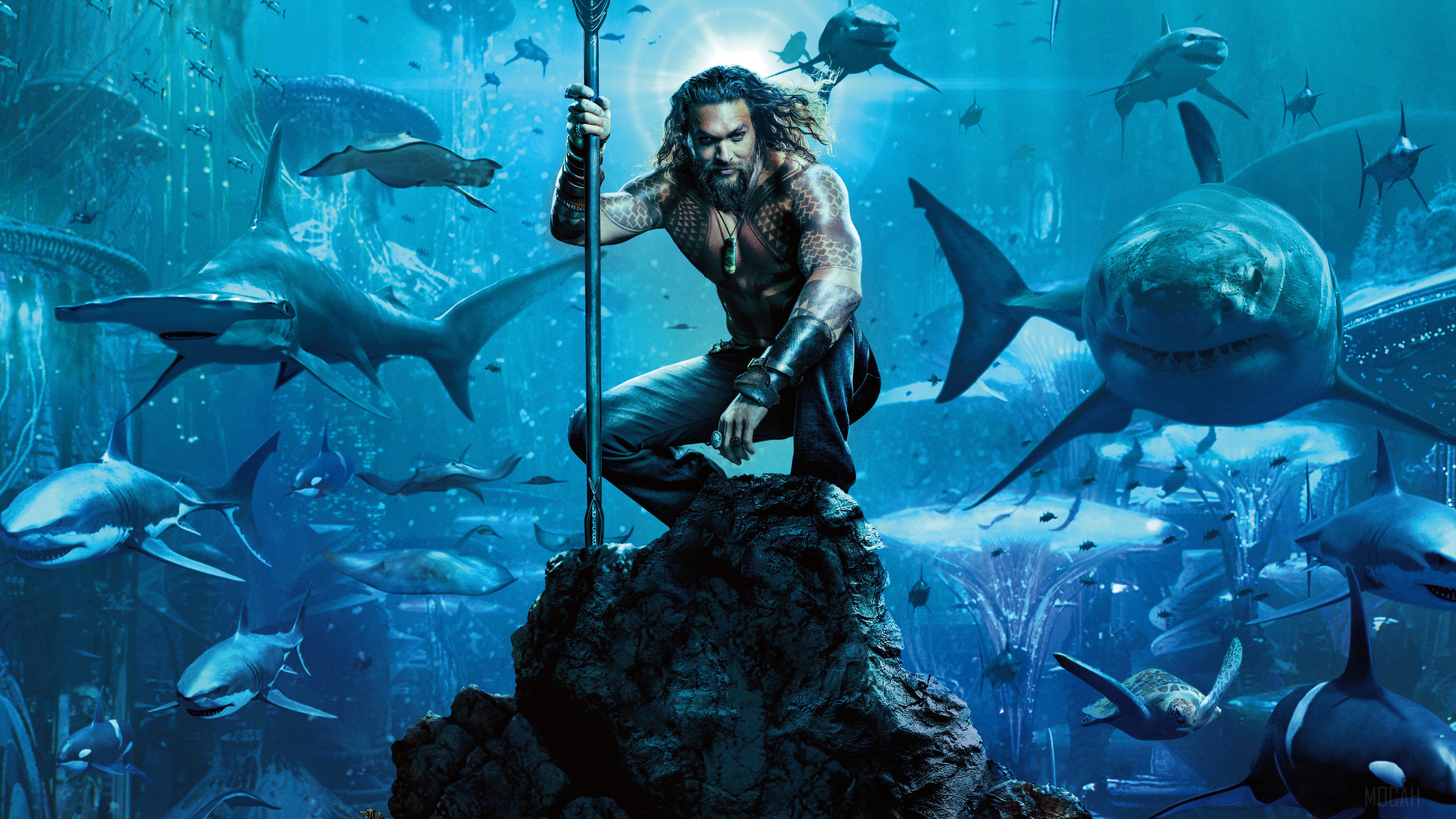 Aquaman from Aquaman Movie 4K HD Wallpaper