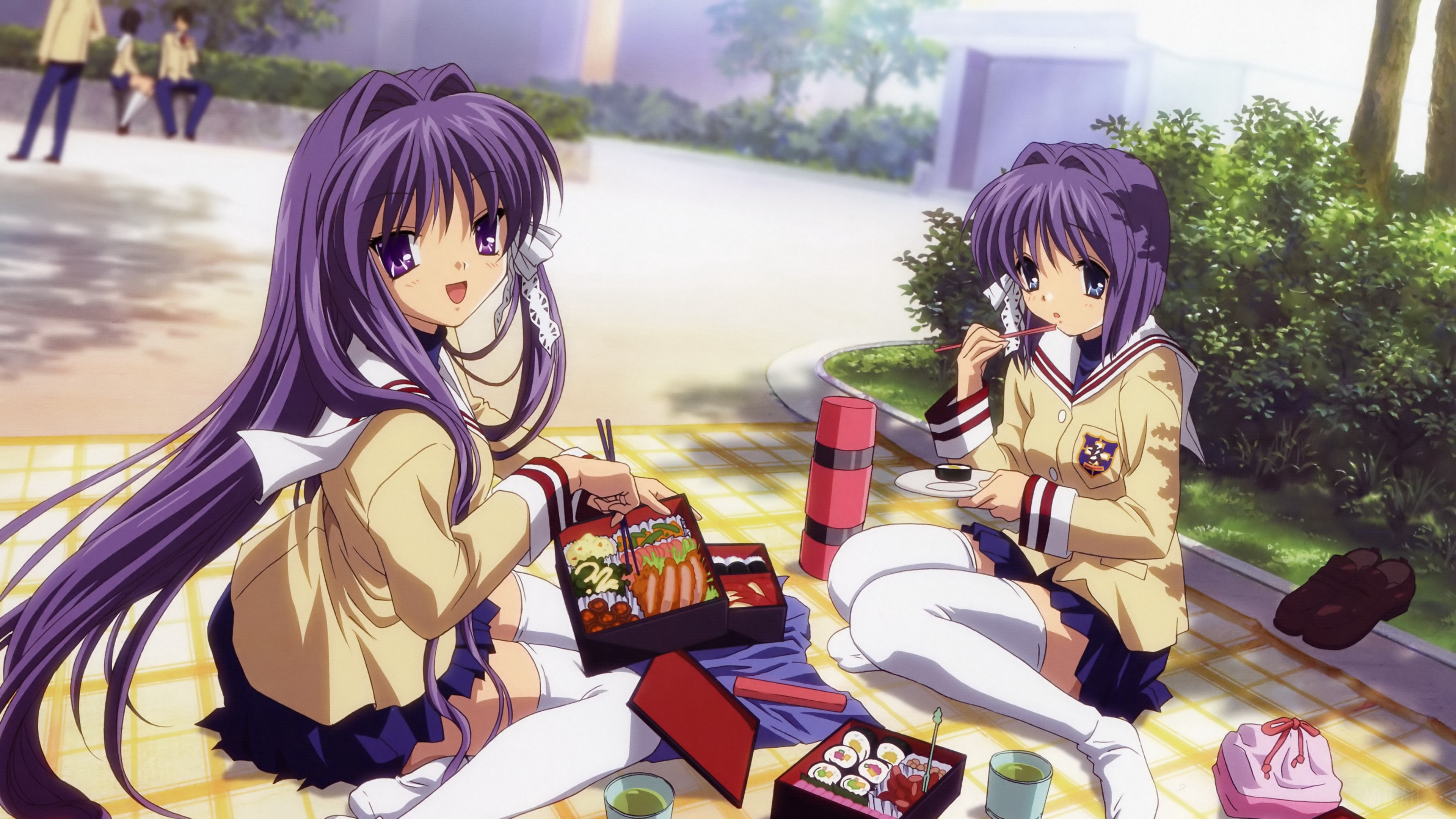 Anime girls having a picnic HD Wallpaper
