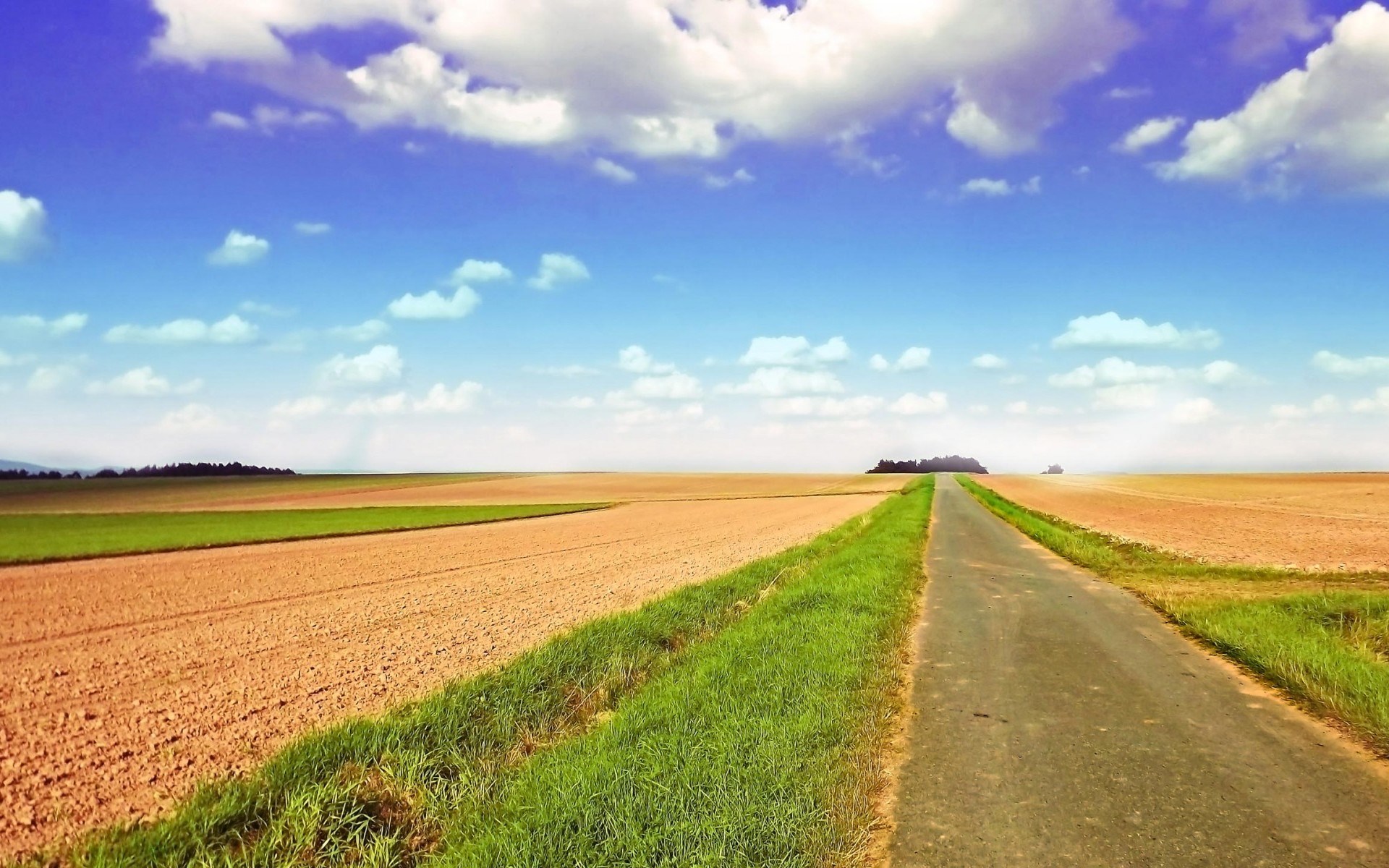 A paved road through agricultural fields under a blue sky HD Wallpaper