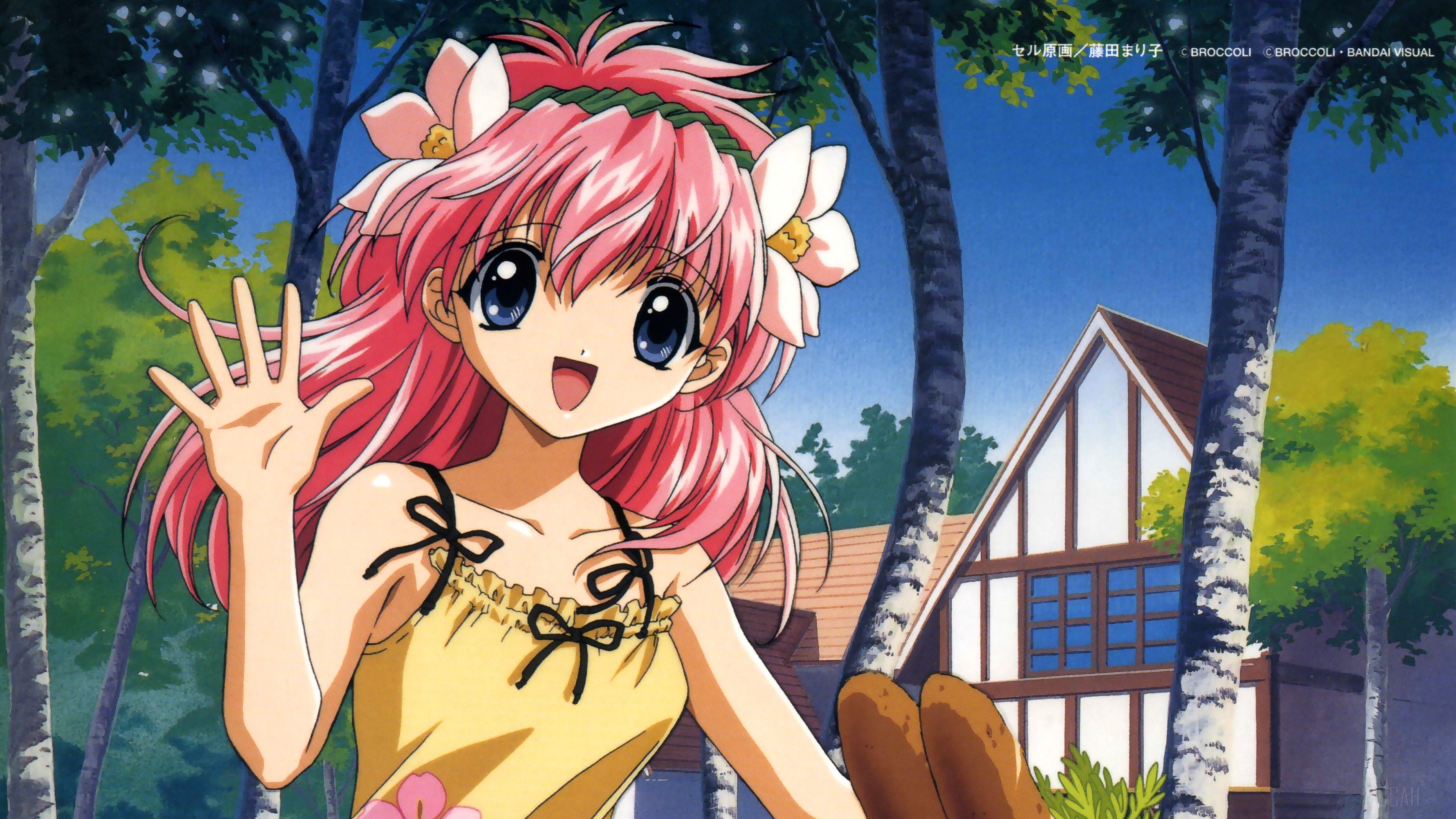 Girl from Galaxy Angel waving hello HD Wallpaper