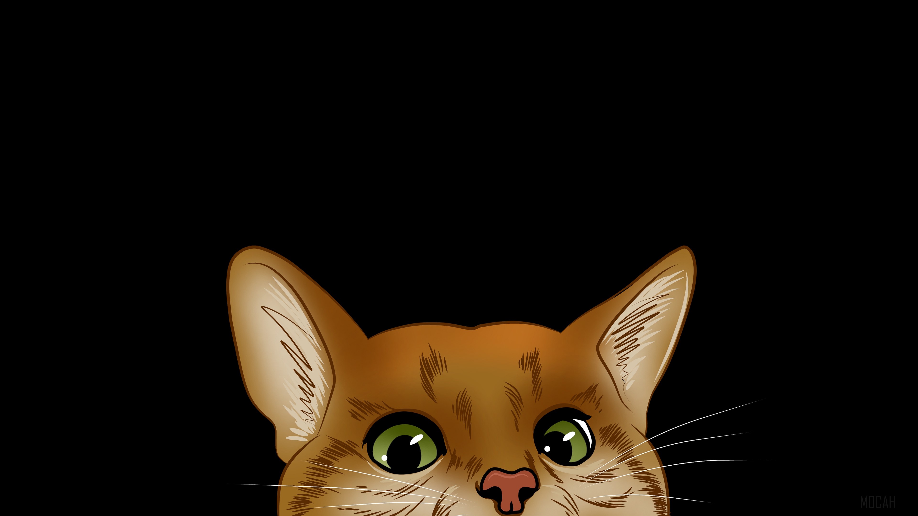 Orange cat peeking from the bottom HD Wallpaper
