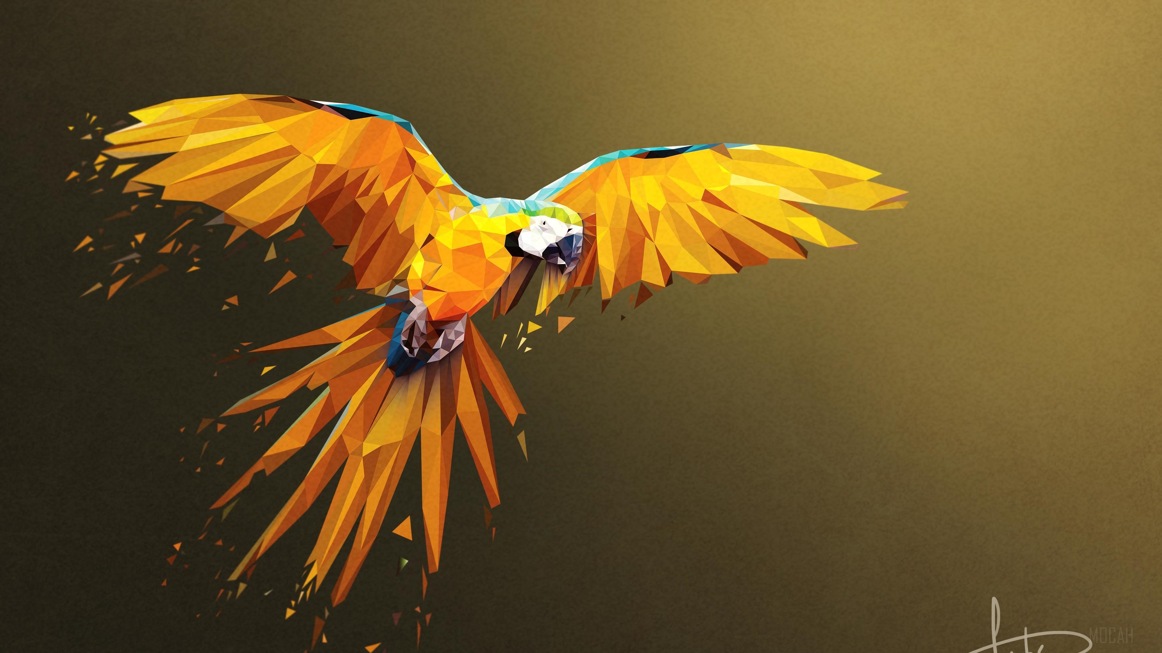 Macaw Low Poly Digital Art HD Wallpaper