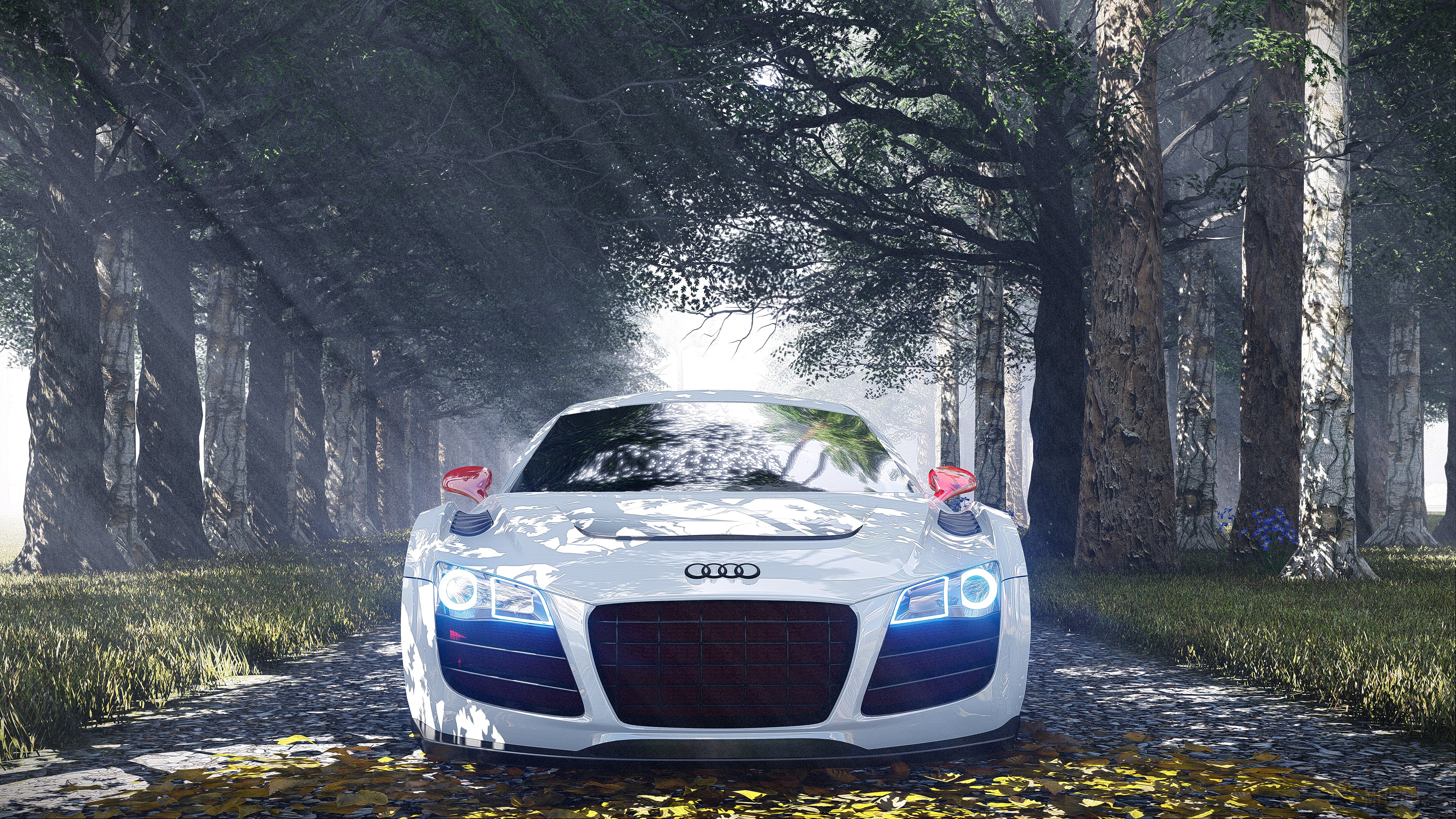 White Audi R8 Special Edition 4K HD Wallpaper