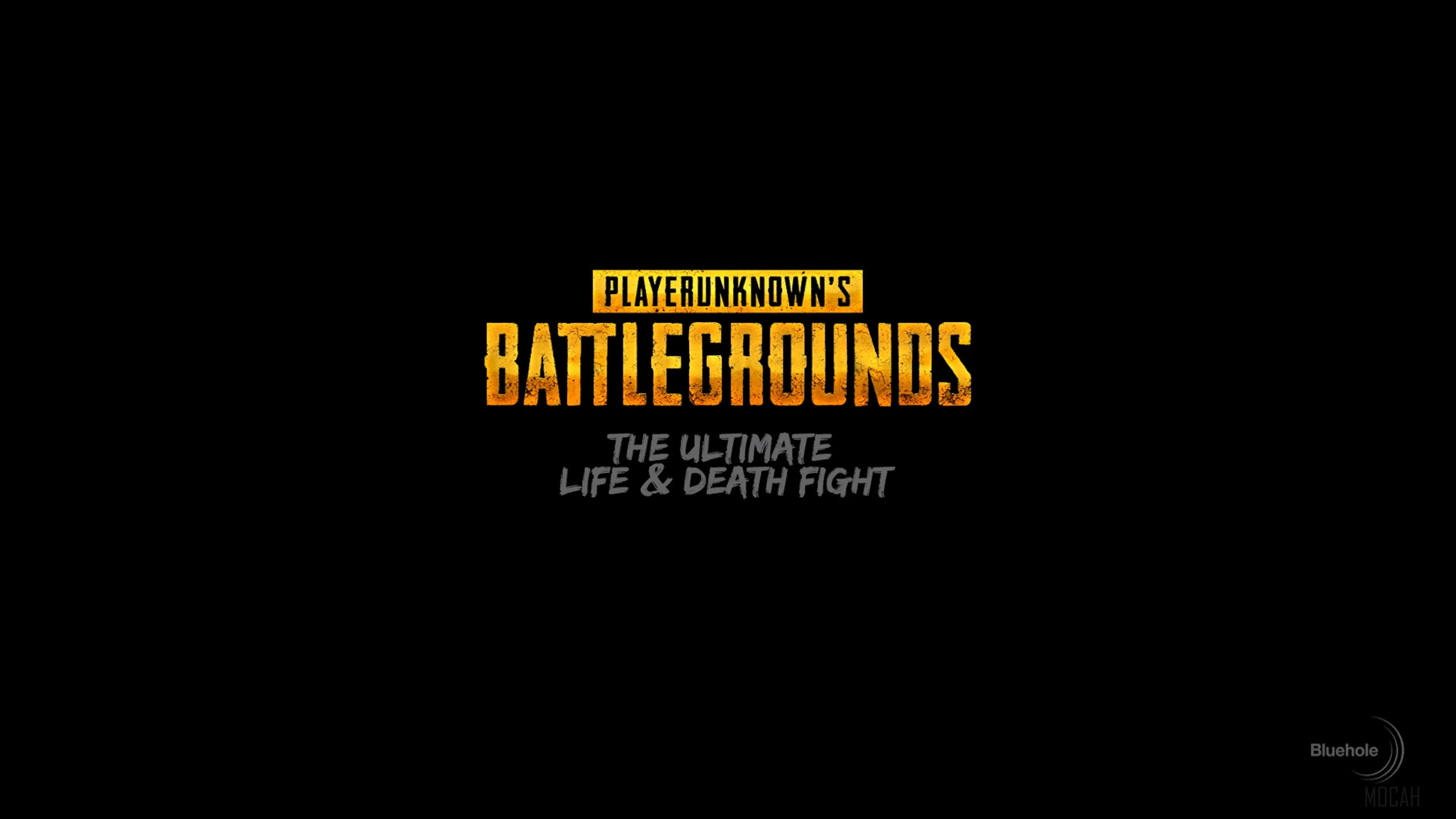 PlayerUnknown's Battlegrounds 4K HD Wallpaper