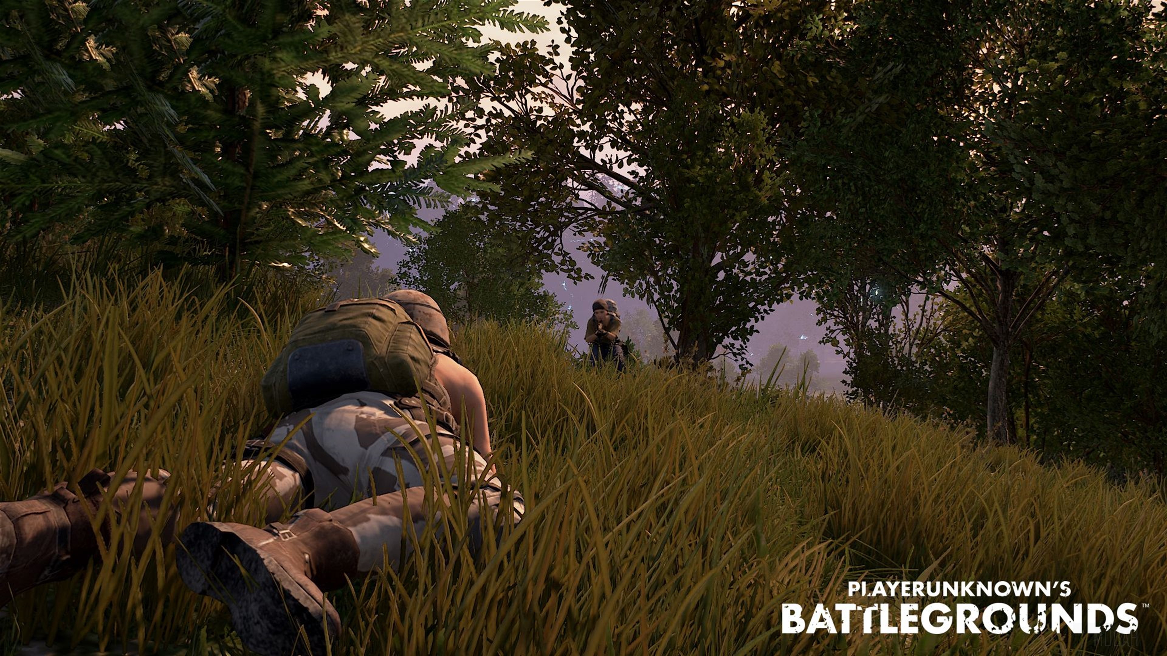 PlayerUnknown's Battlegrounds (PUBG) 4K HD Wallpaper