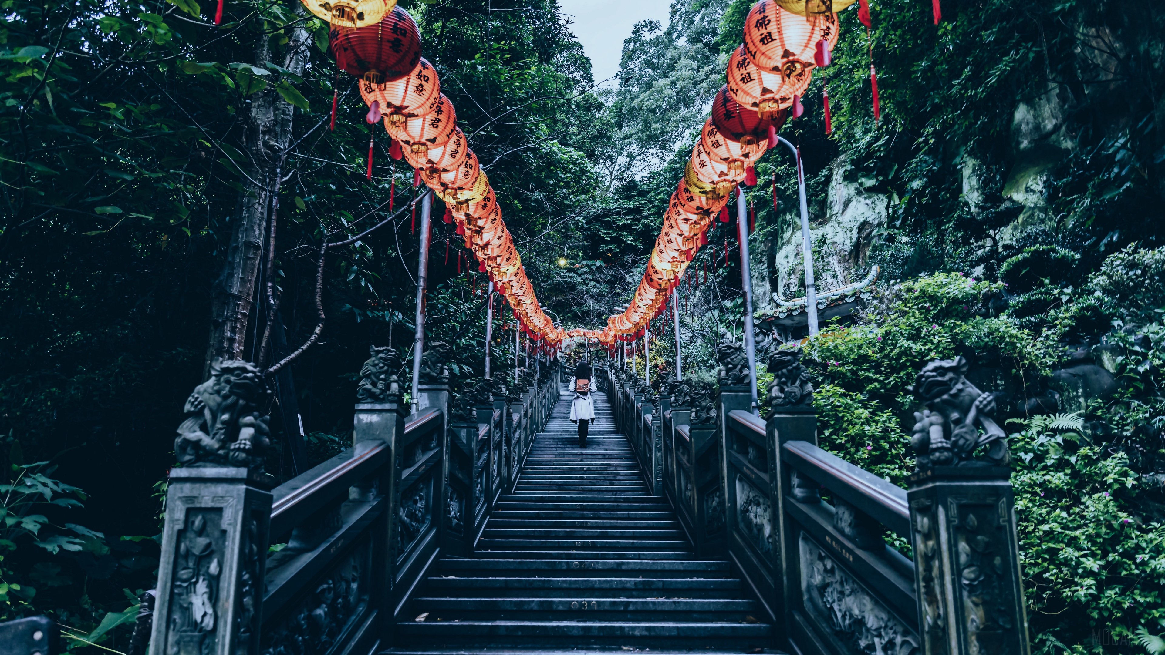 Person walking up stairs with Chinese lanterns HD Wallpaper