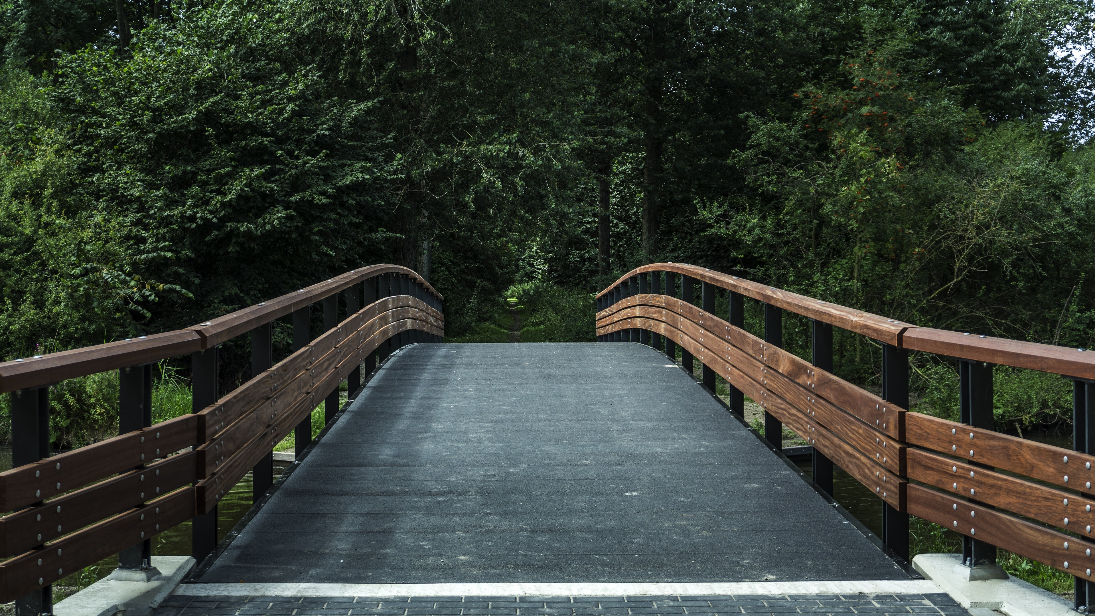 Wooden bridge in a forest park 4K HD Wallpaper