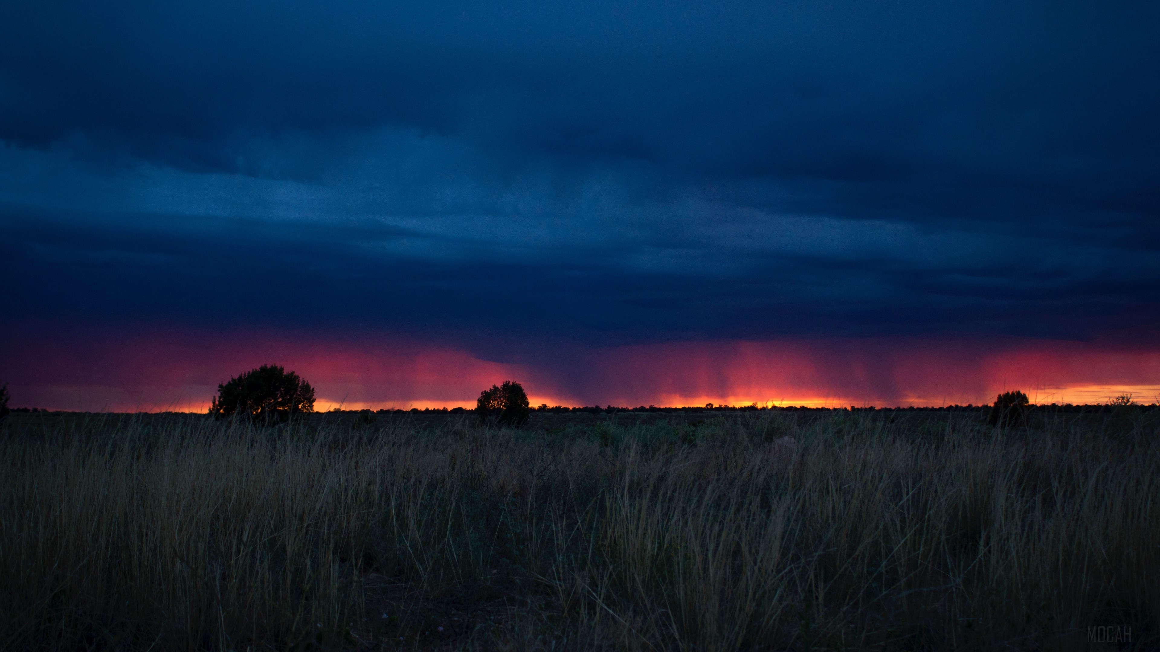 Sunset over a field with grass and clouds 4K HD Wallpaper