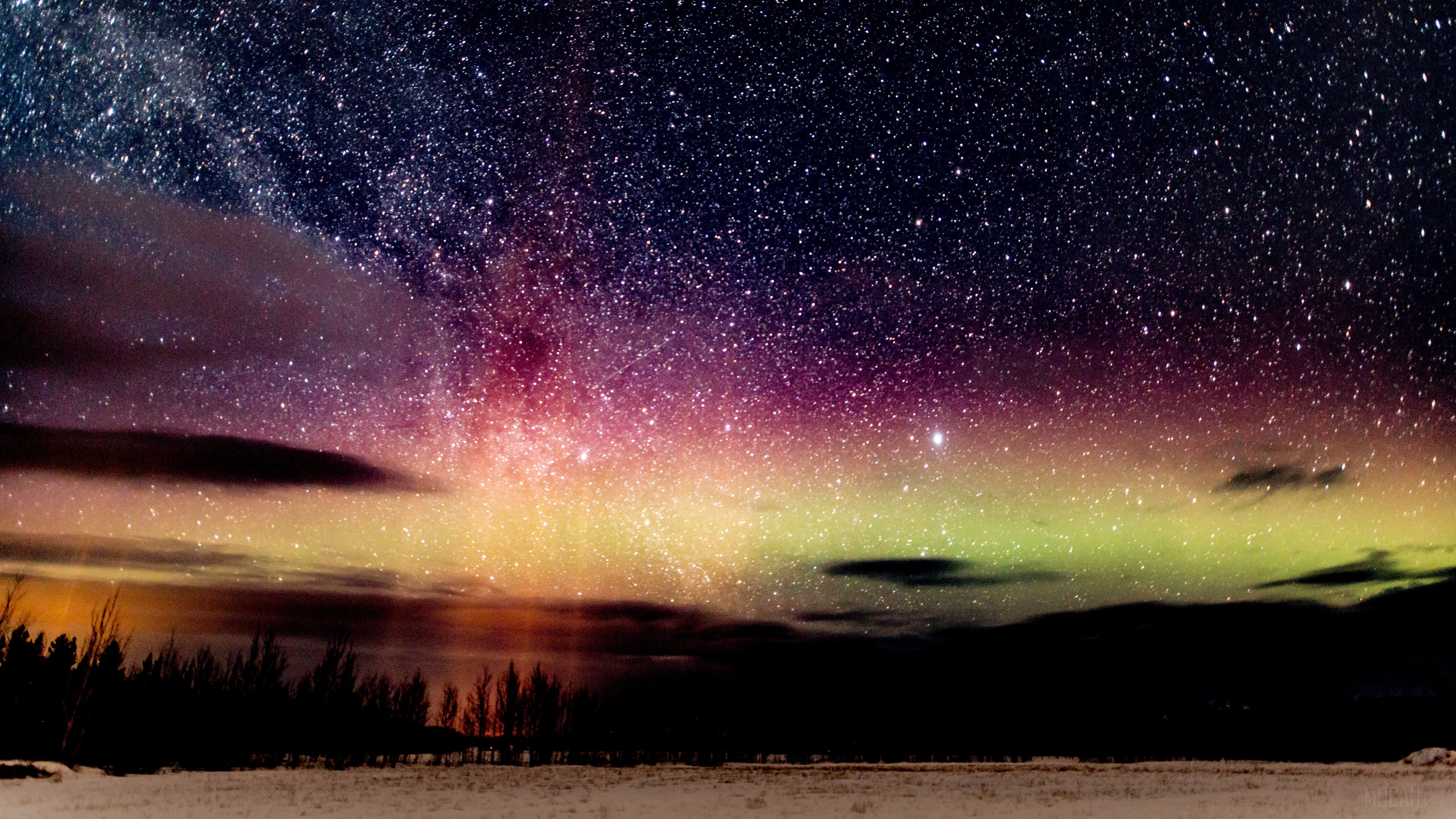 Starry night sky with aurora and trees HD Wallpaper