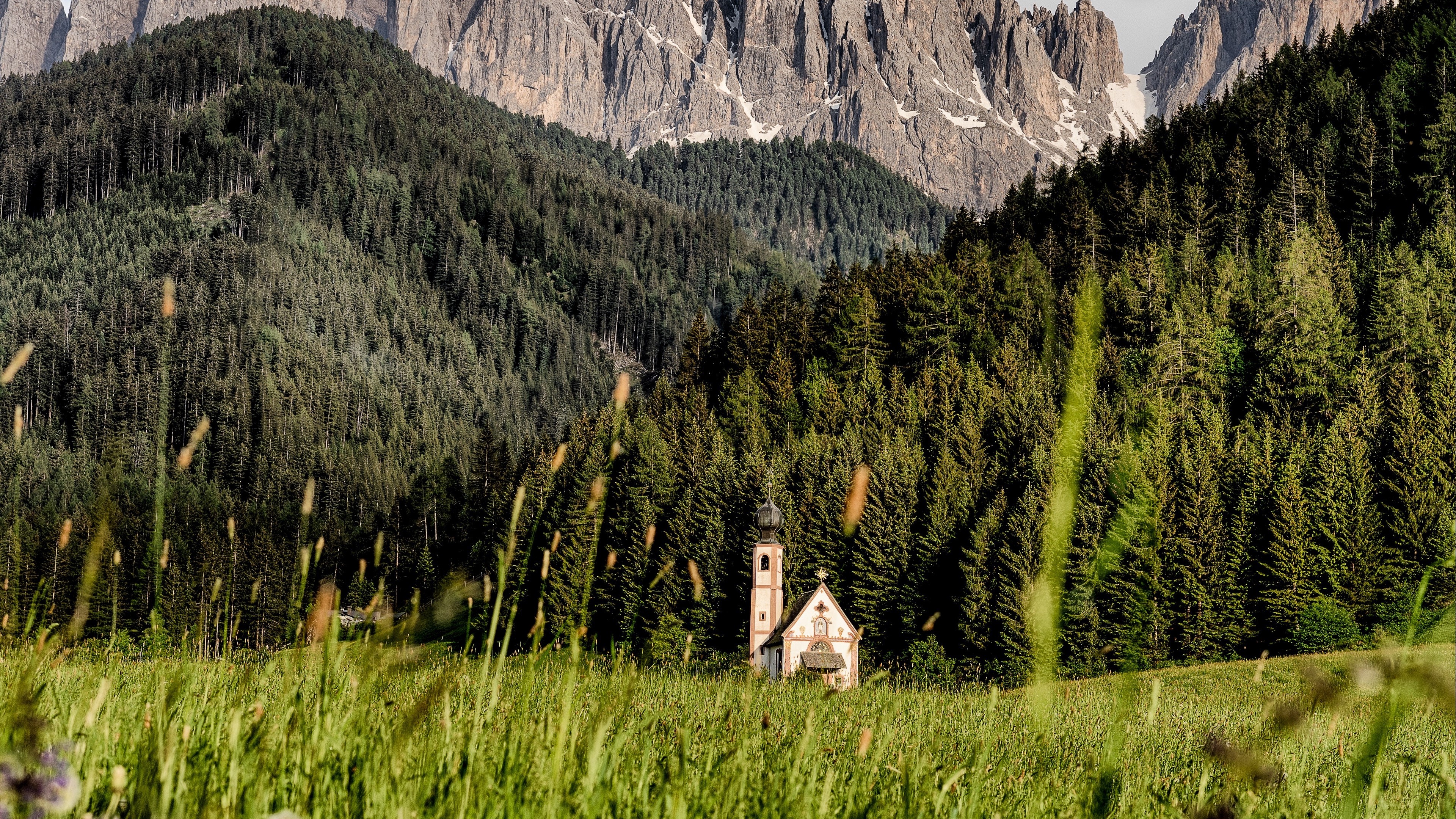Church in a green field with mountains and forest HD Wallpaper